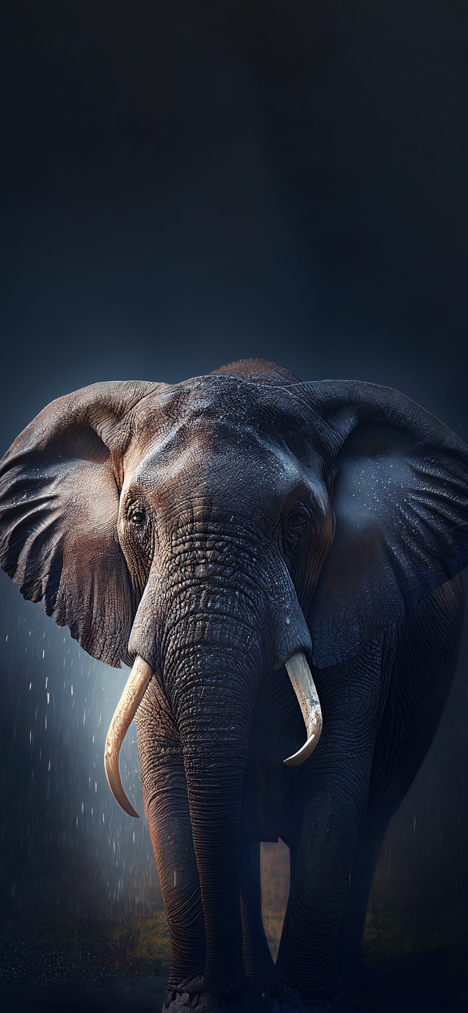 Elephant in Rain - Pro phone wallpaper