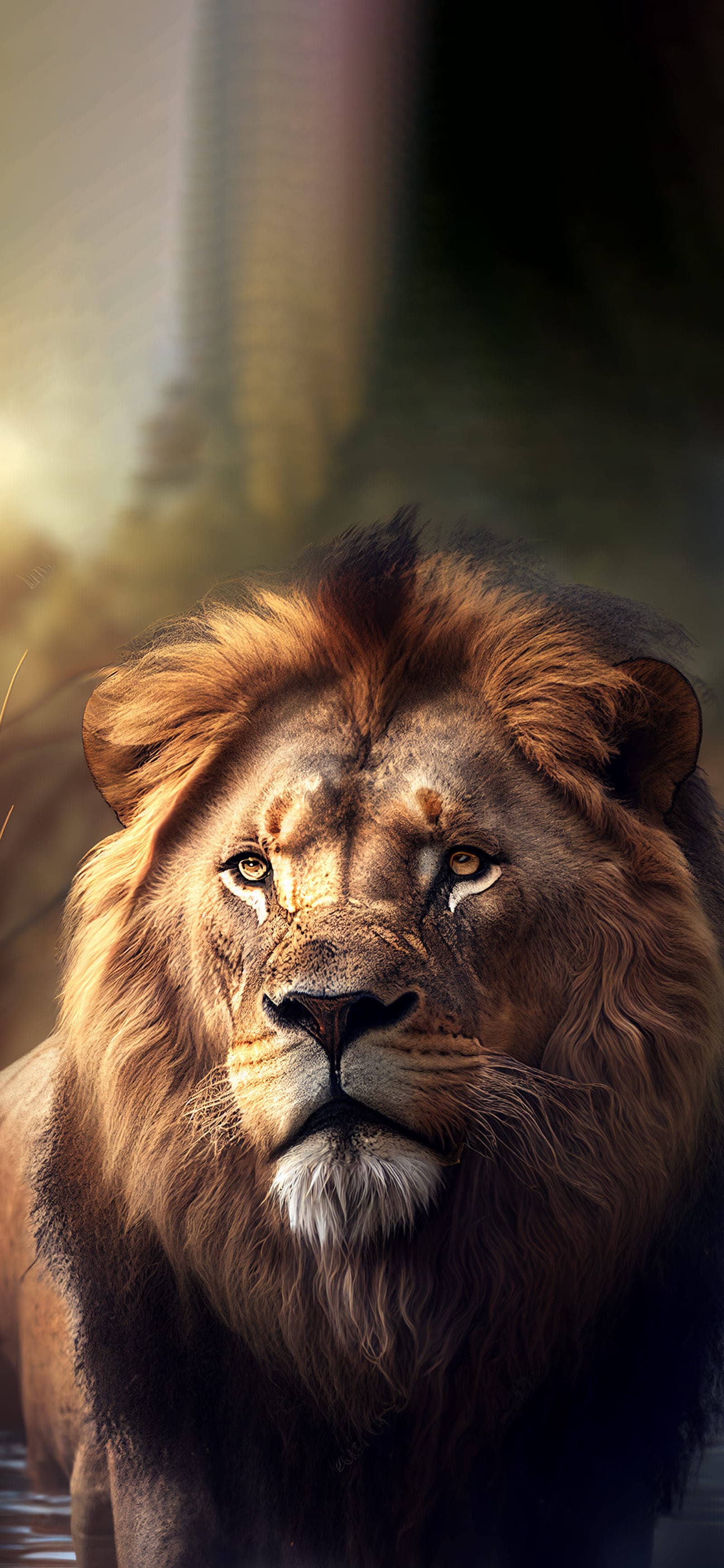 Majestic Lion Portrait - Pro phone wallpaper