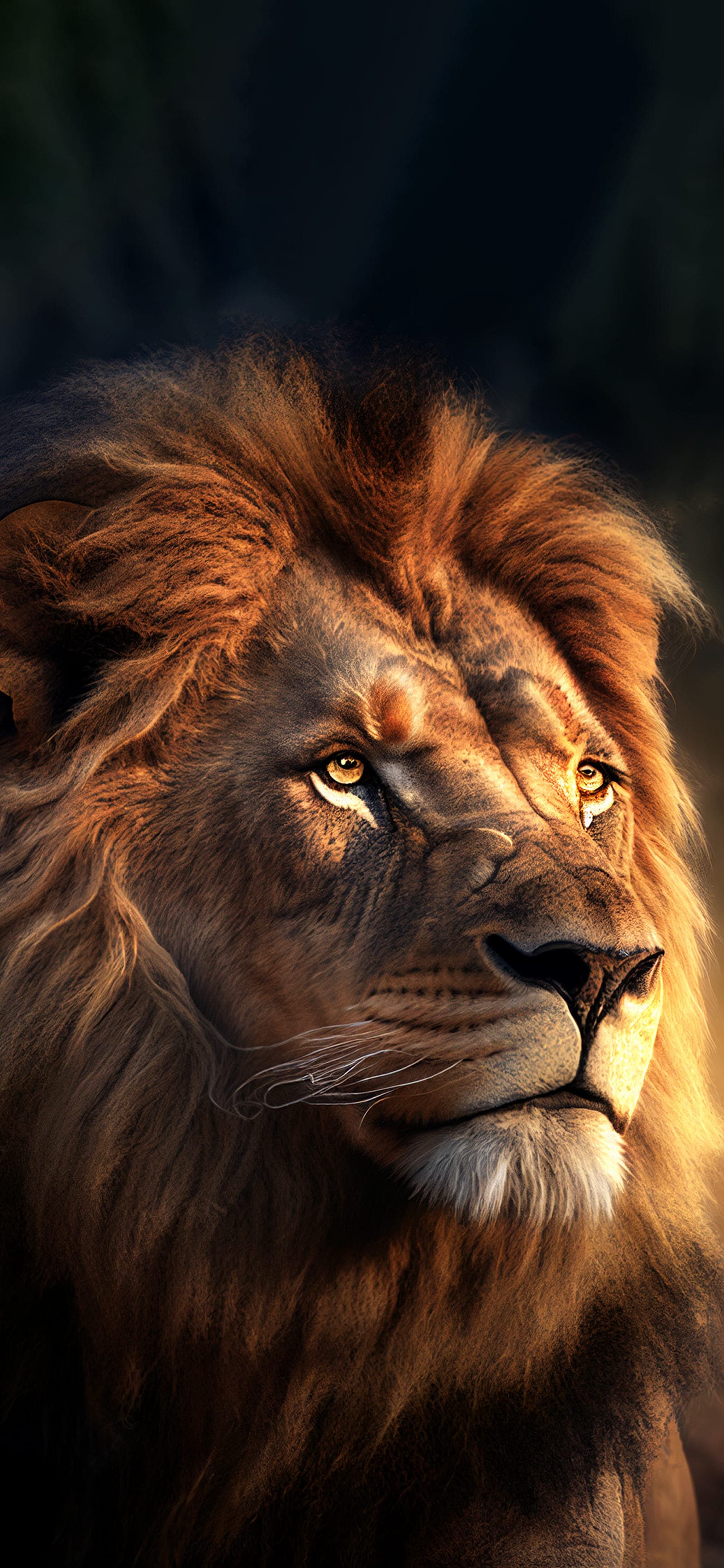 Lion Majesty - Pro phone wallpaper