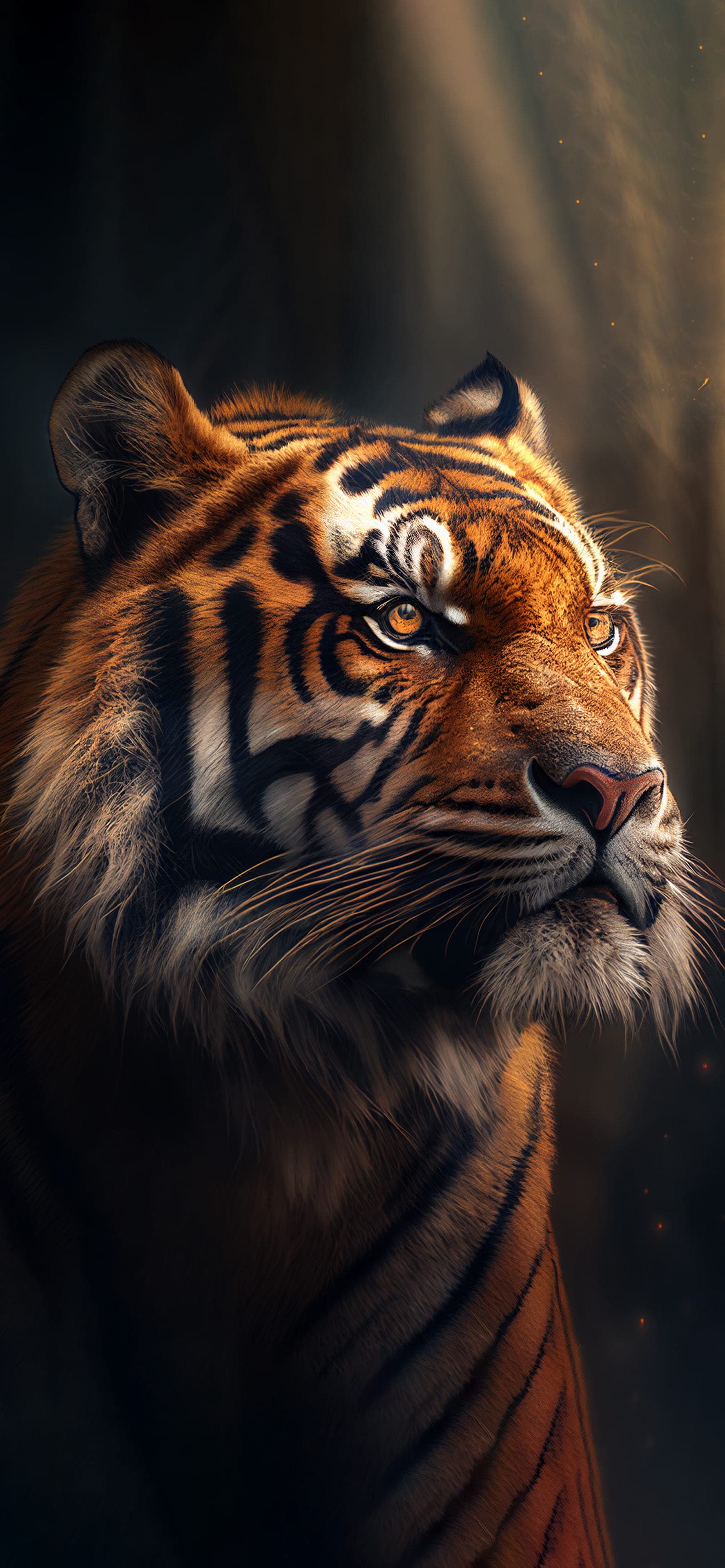 Tiger Intense Gaze - Pro phone wallpaper