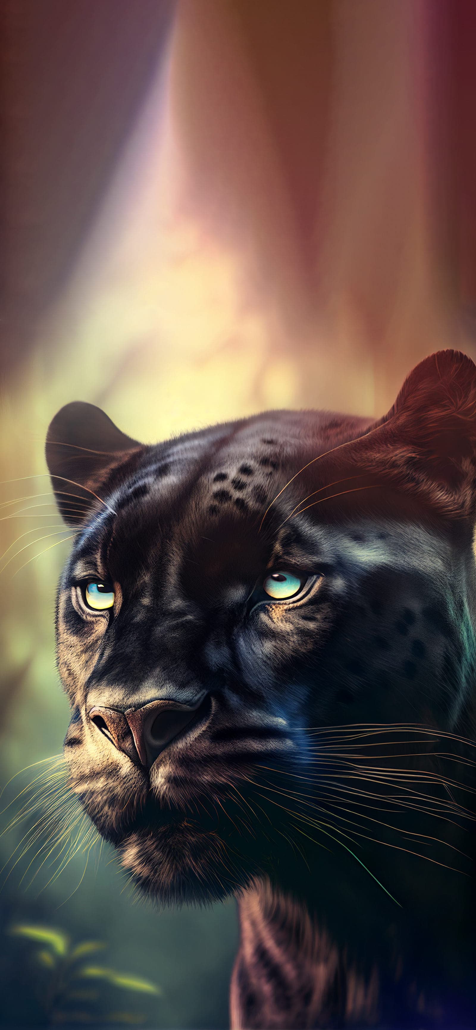 Black Panther Stare - Pro phone wallpaper