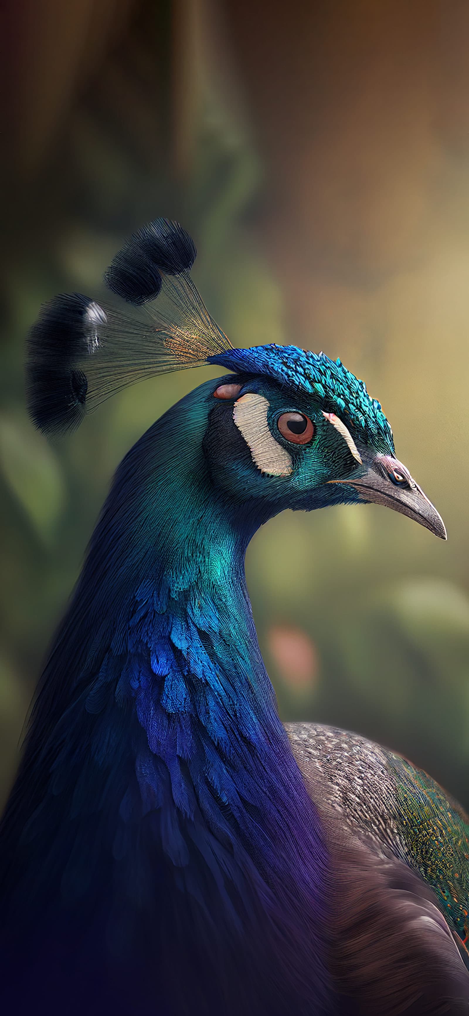 Peacock Elegance - Pro phone wallpaper