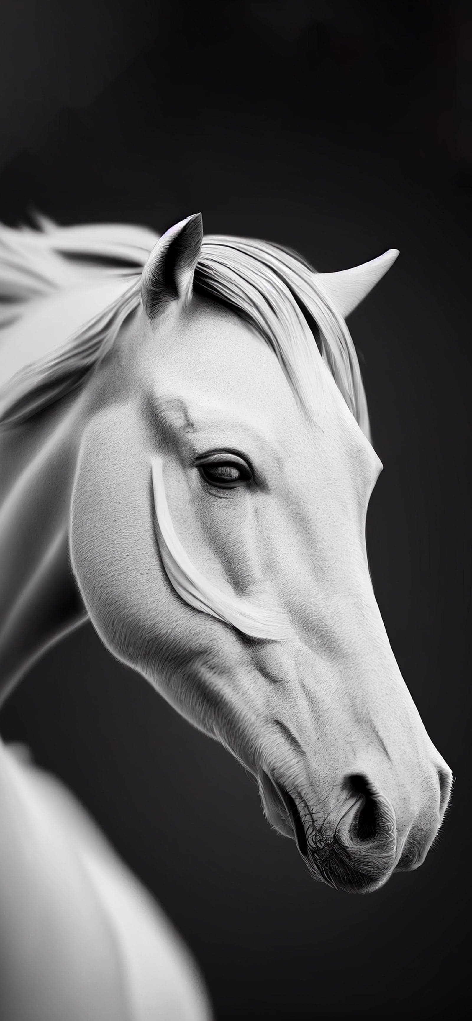Monochrome Mare - Pro phone wallpaper