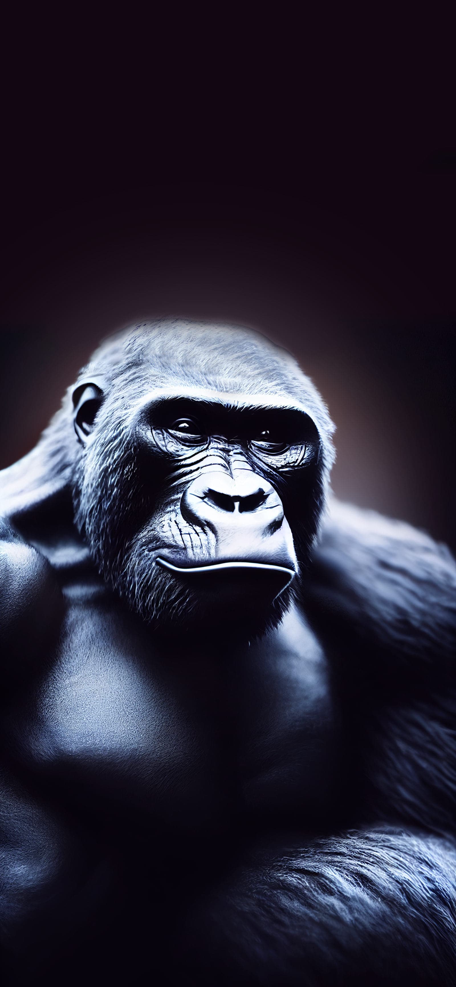 Monochrome Gorilla Portrait - Pro phone wallpaper