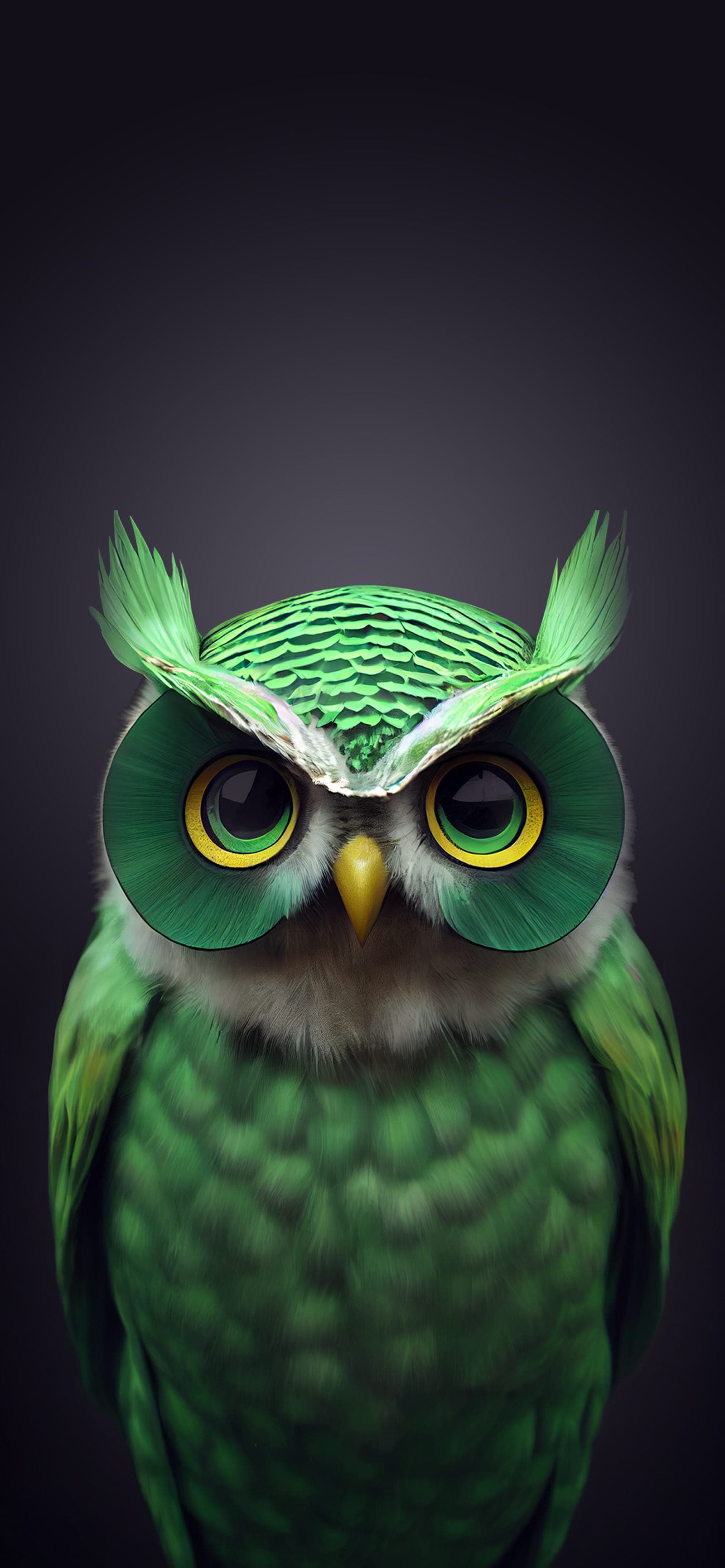 Emerald Owl Stare - Pro phone wallpaper