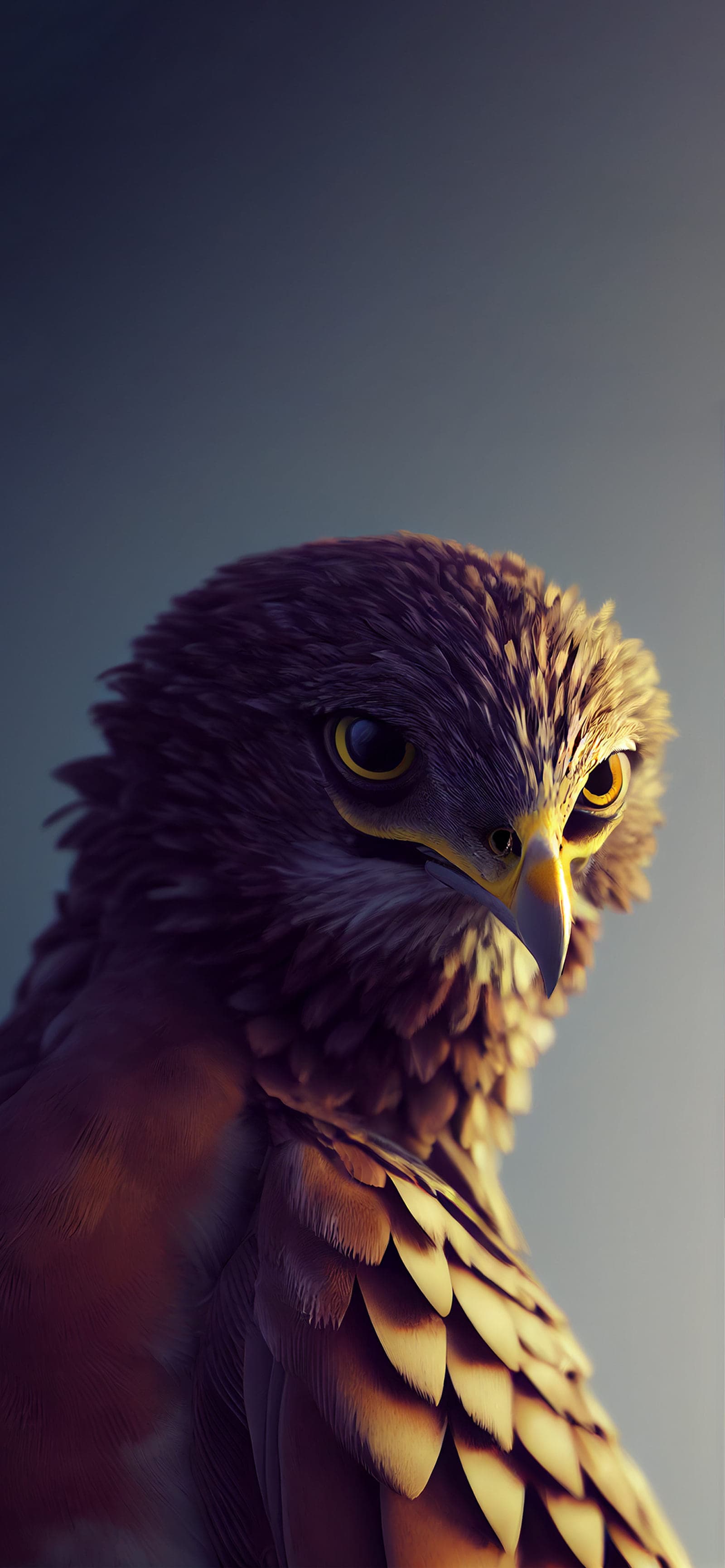 Hawk Gaze Portrait - Pro phone wallpaper