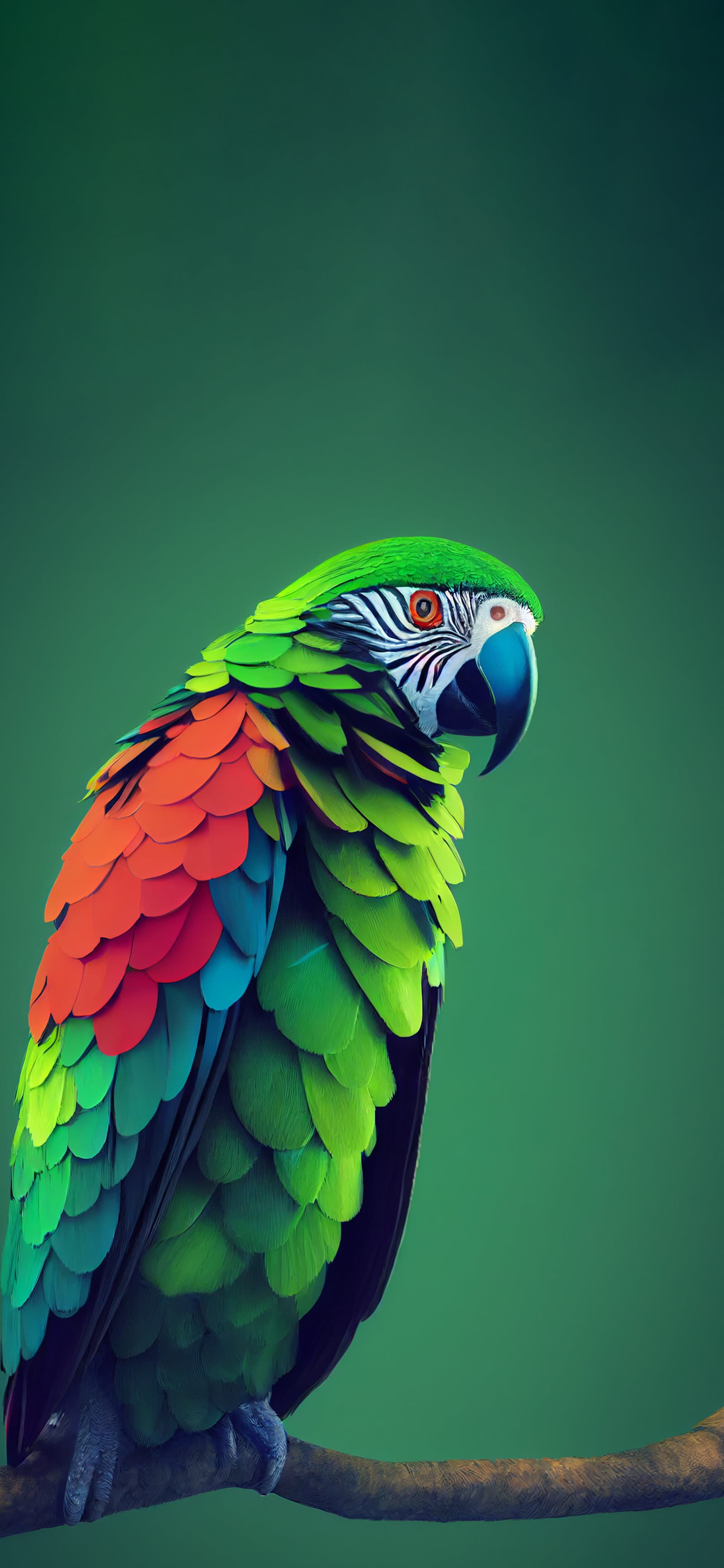 Green Parrot Profile - Pro phone wallpaper