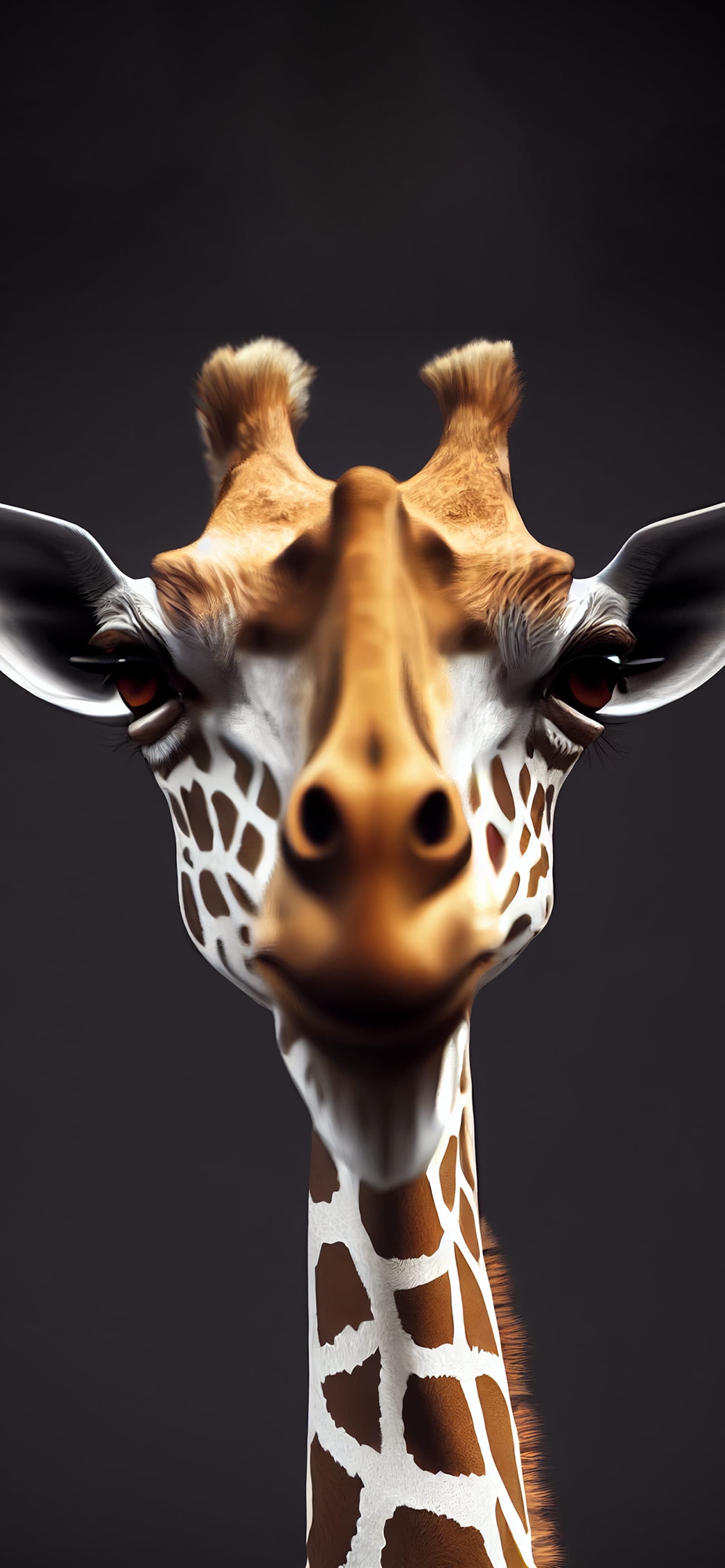 Giraffe Close Up - Pro phone wallpaper
