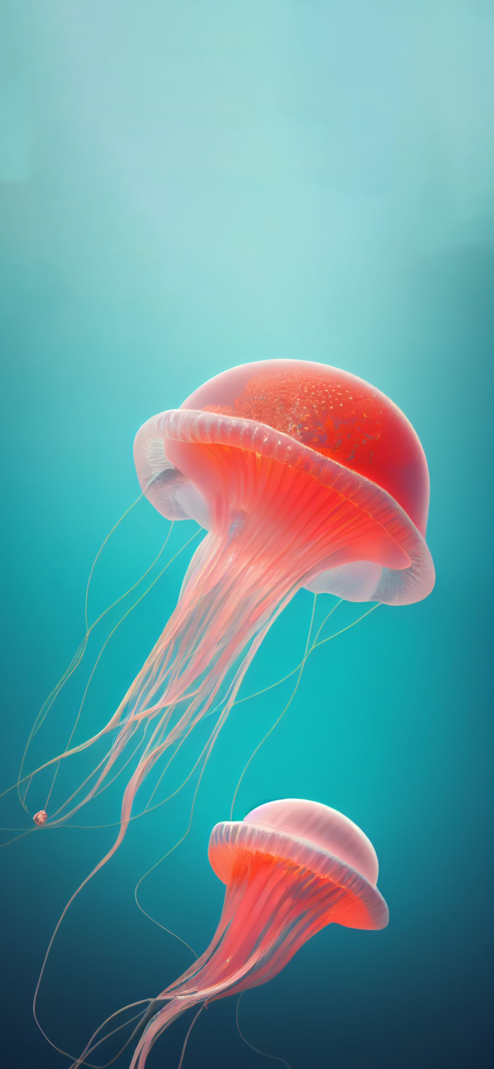 Floating Jellyfish Dance - Pro phone wallpaper