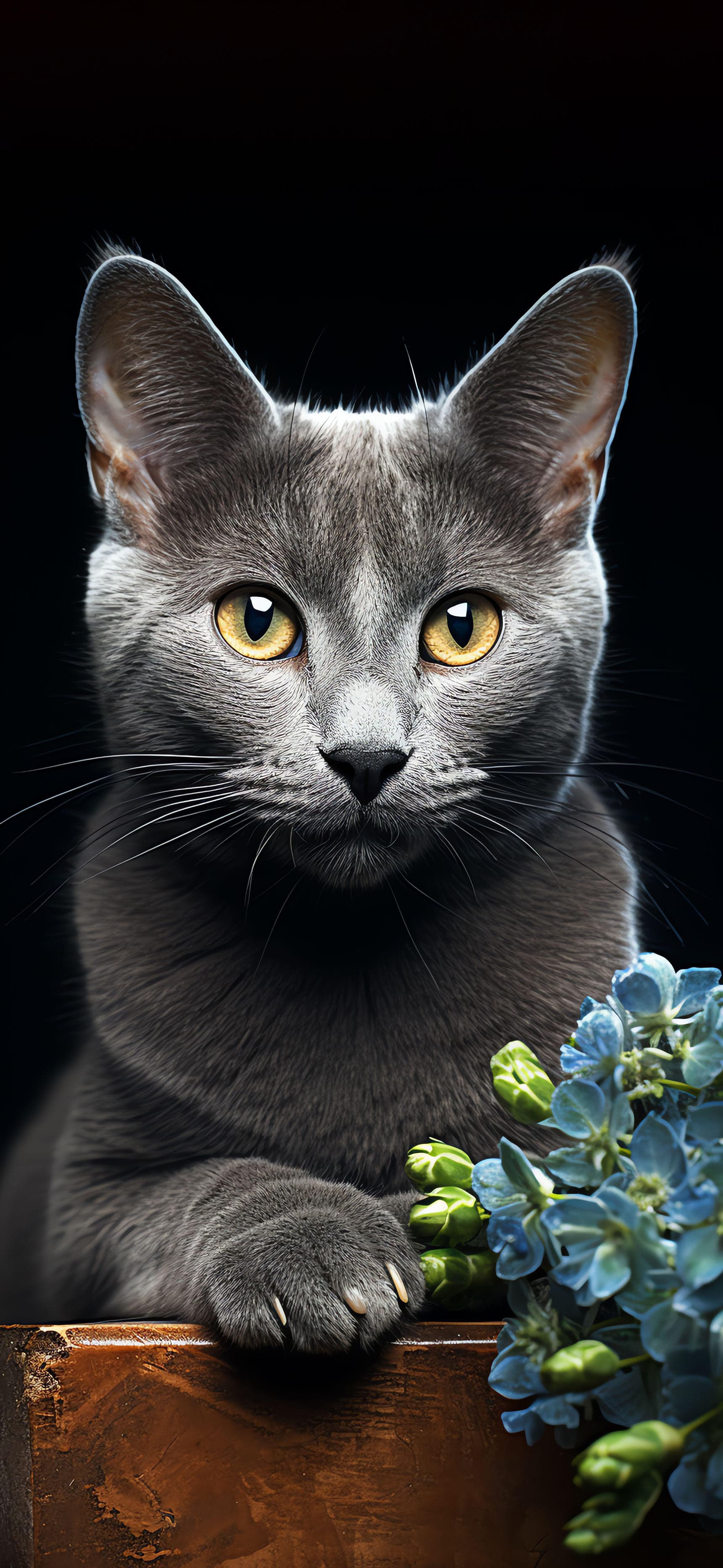 Gray Cat Portrait - Pro phone wallpaper