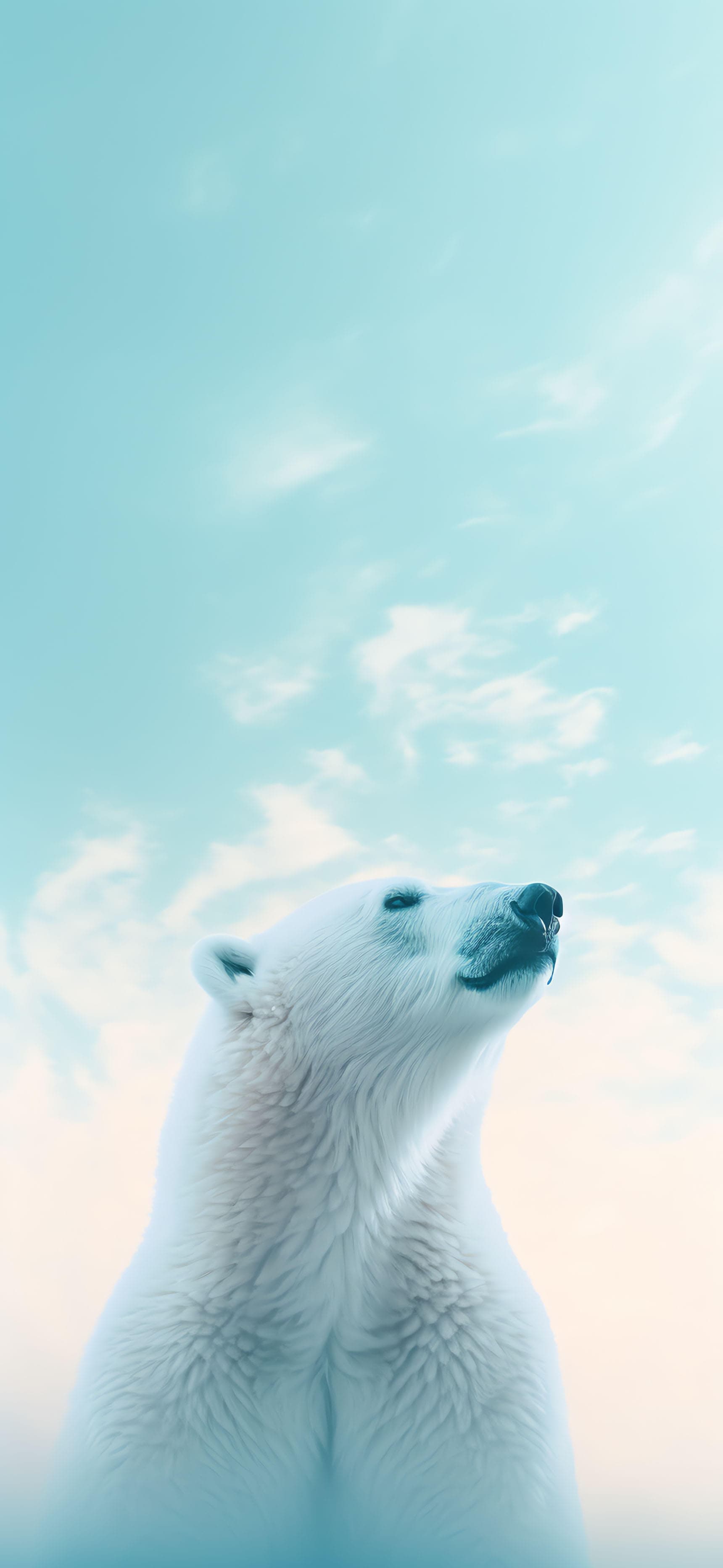Polar Sky Gaze - Pro phone wallpaper