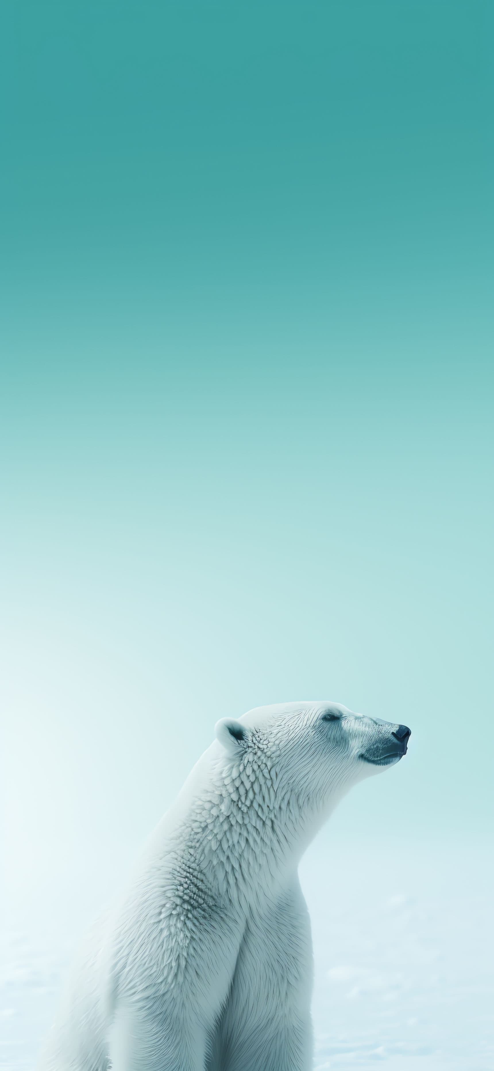 Arctic Gaze - Pro phone wallpaper
