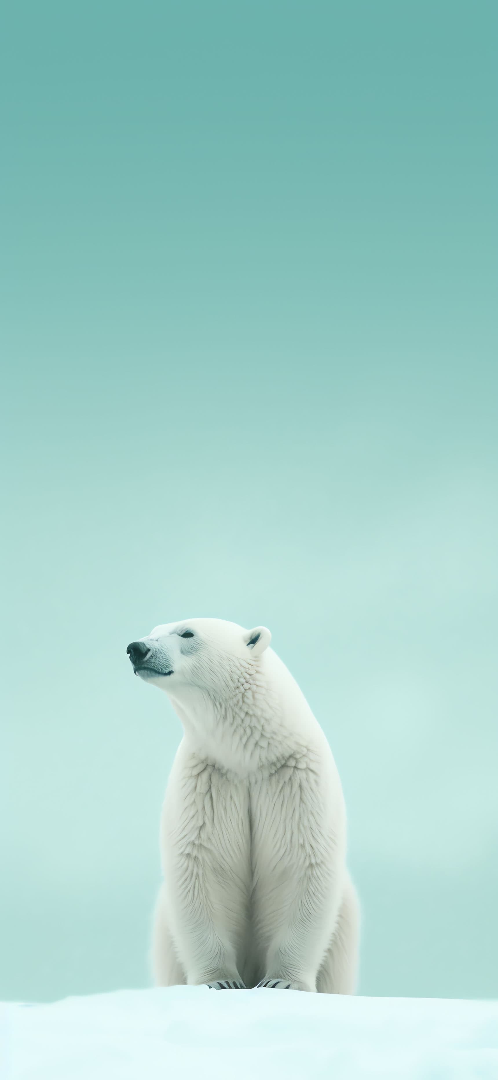 Polar Bear Serenity - Pro phone wallpaper