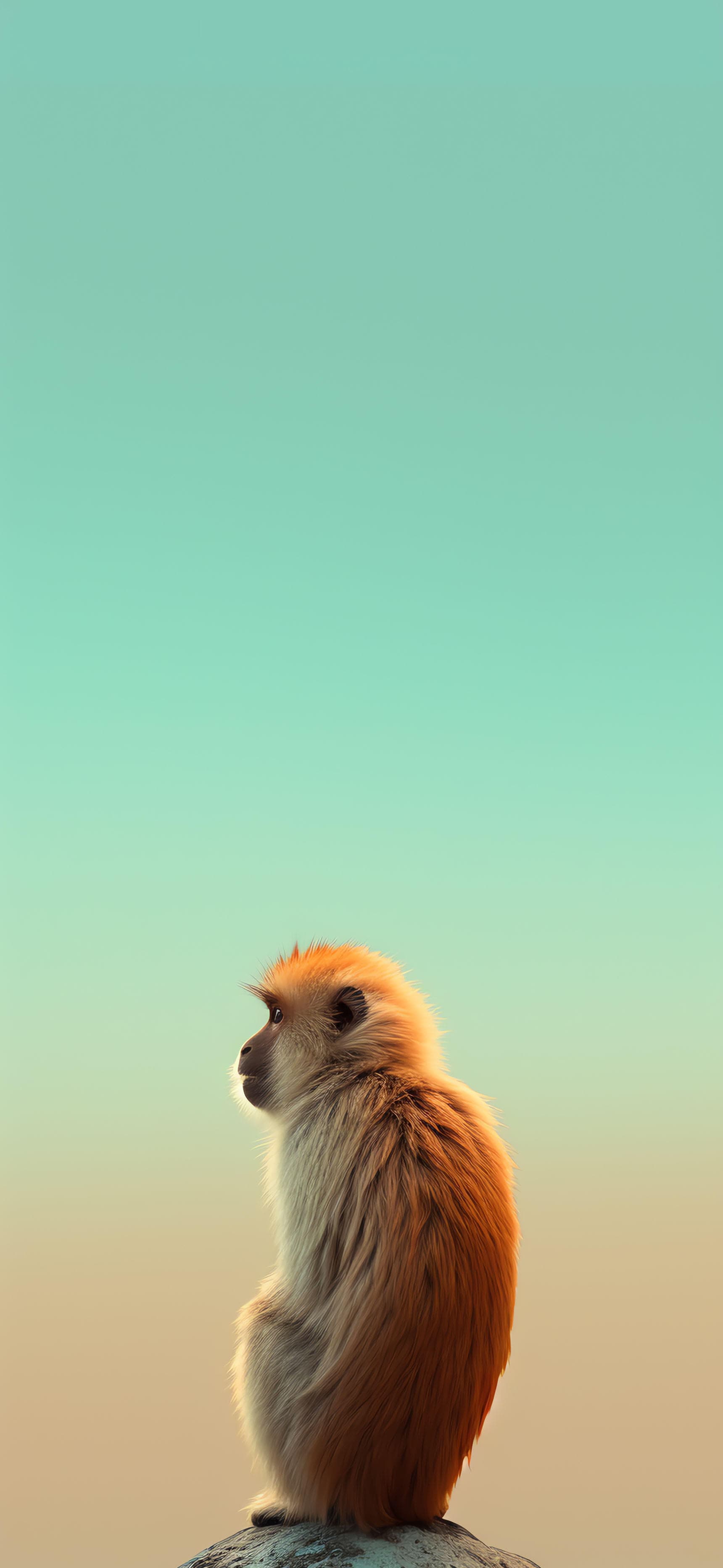 Pensive Monkey Gaze - Pro phone wallpaper