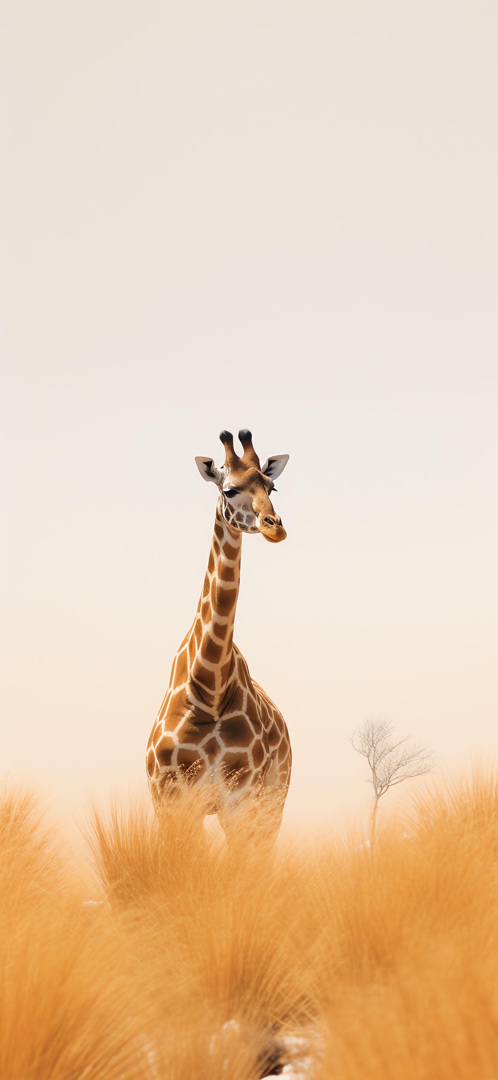 Giraffe Savannah Vista - Pro phone wallpaper
