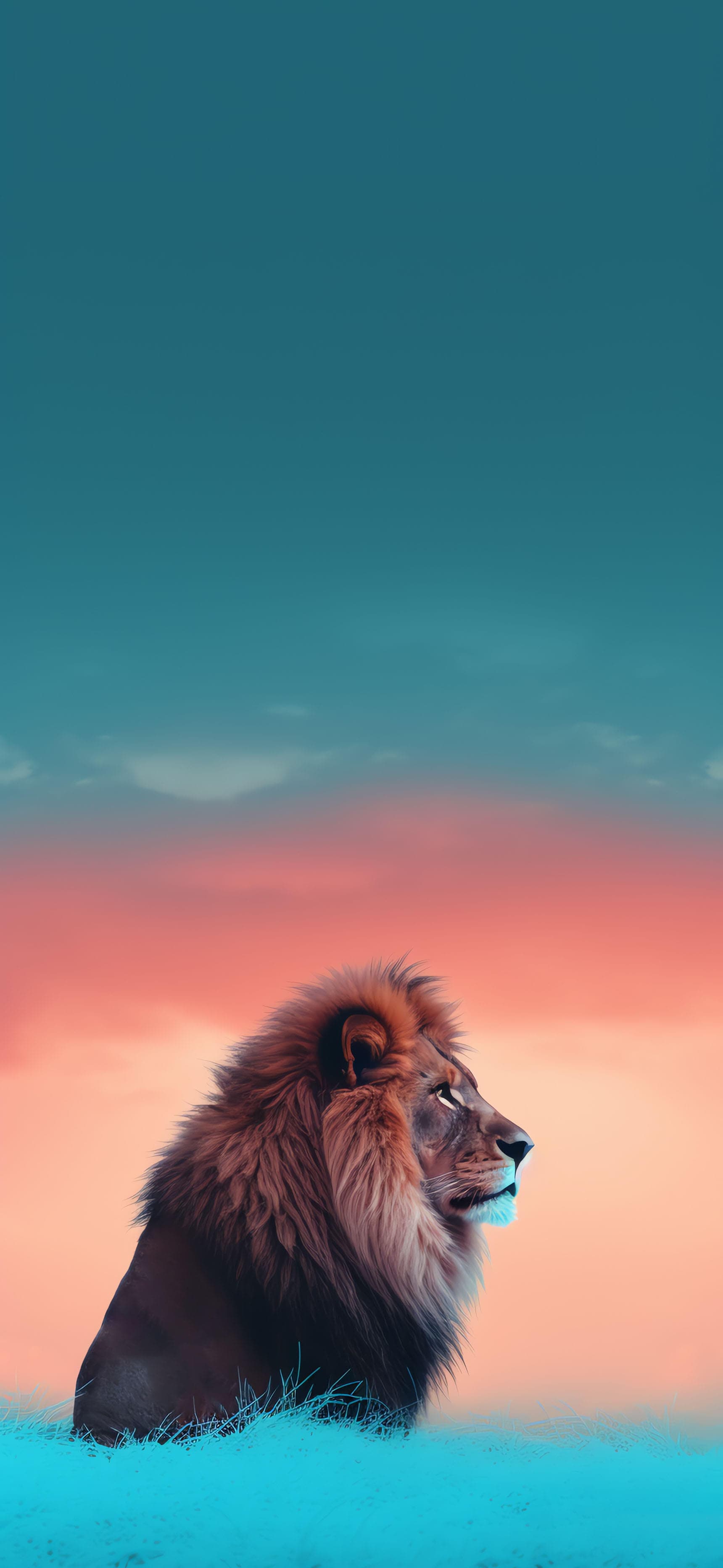 Lion Majesty Gaze - Pro phone wallpaper