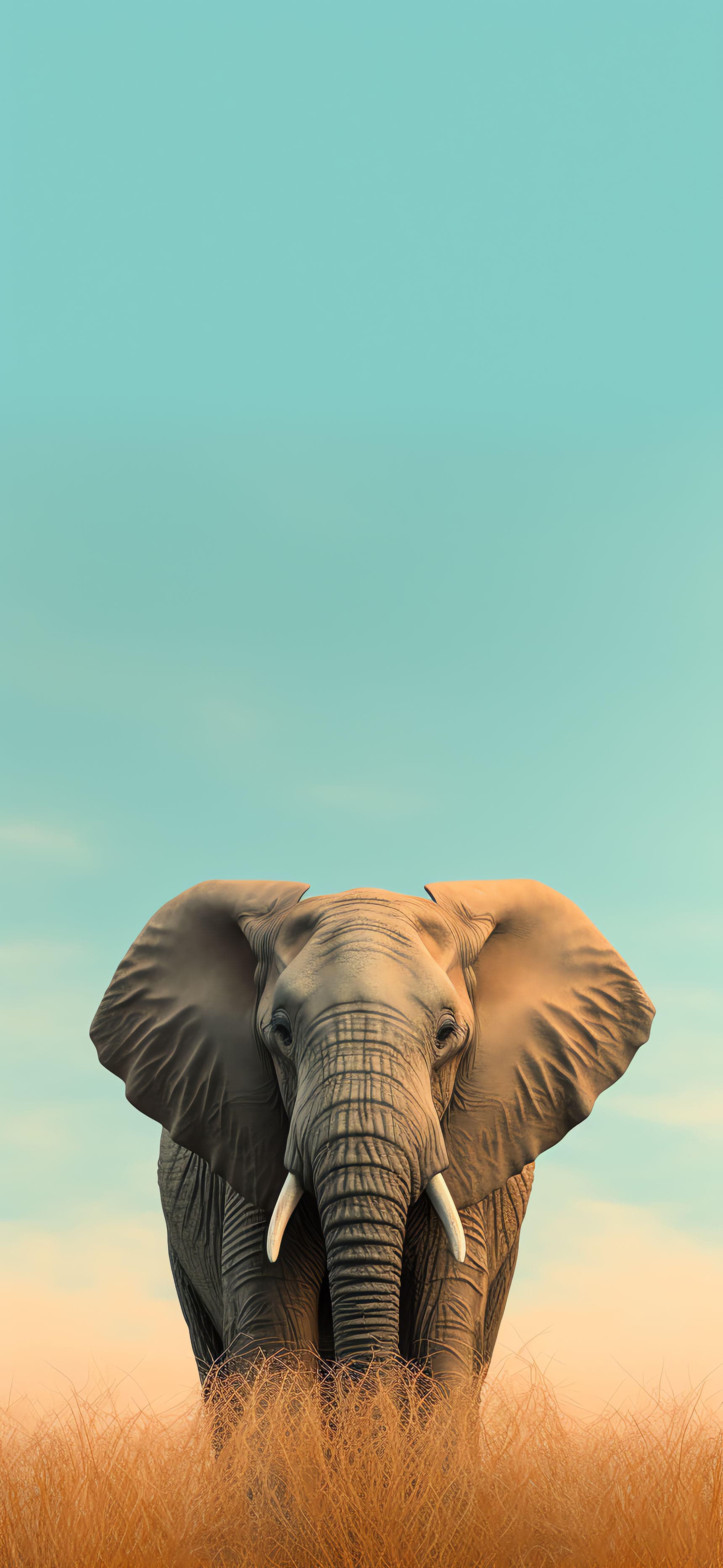 Elephant Stance - Pro phone wallpaper