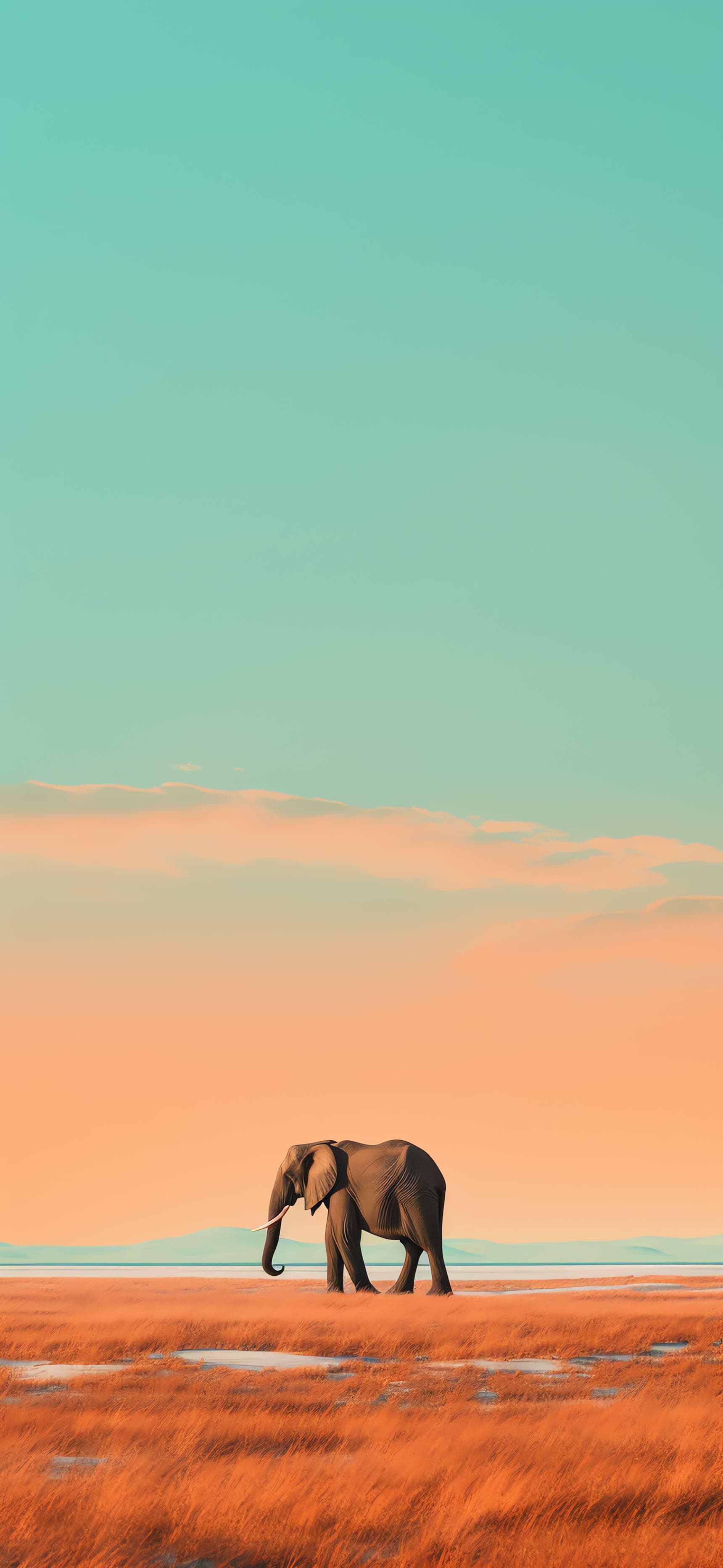 Solitary Elephant Walk - Pro phone wallpaper