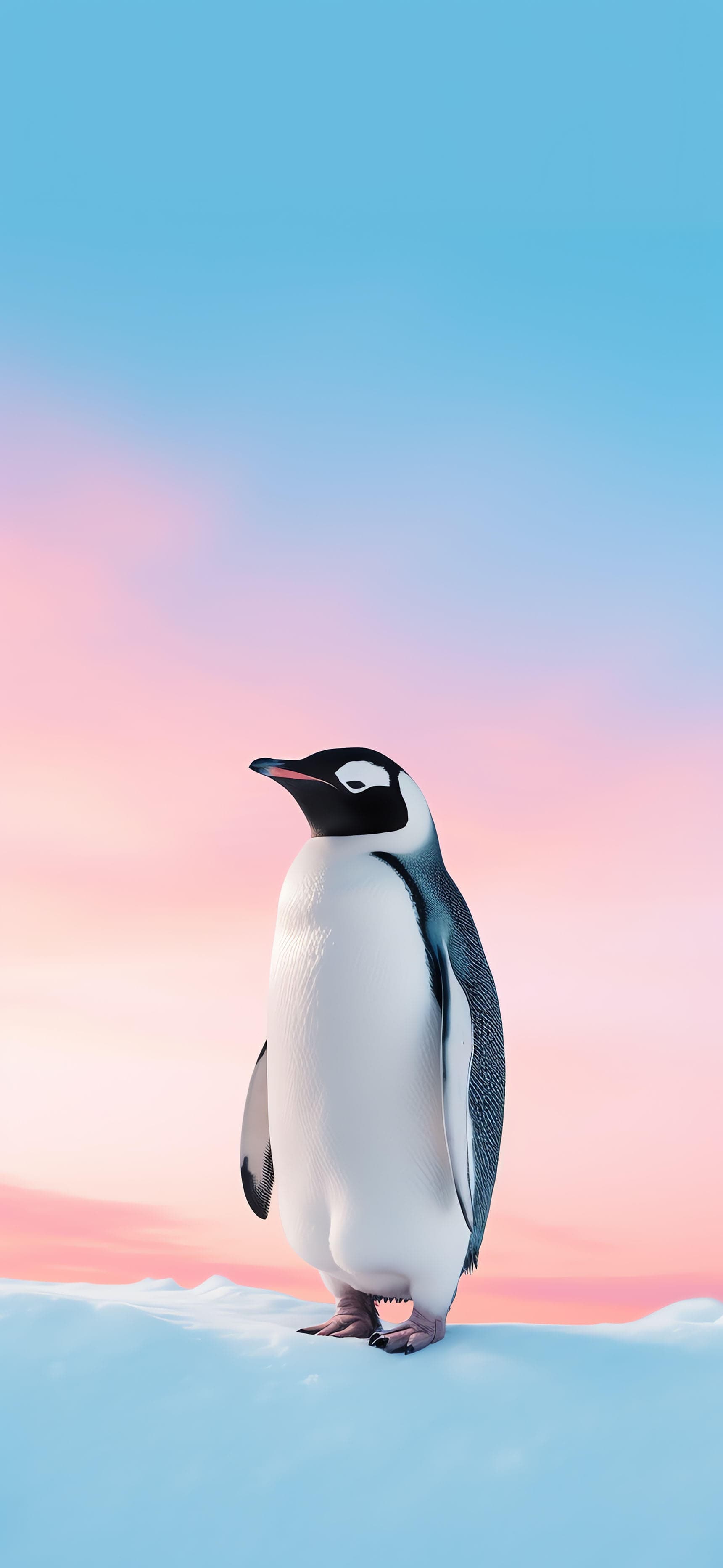 Penguin Pastel Sky - Pro phone wallpaper