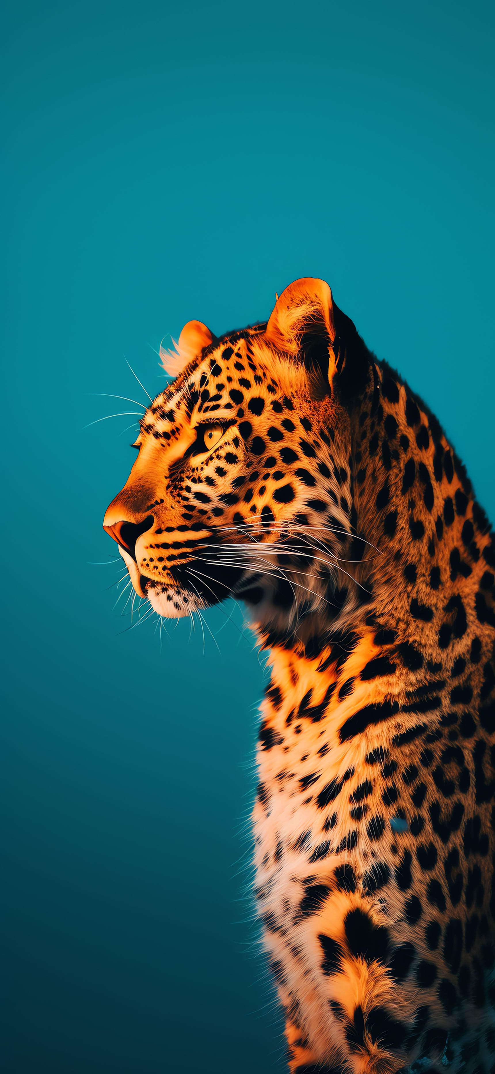Leopard Intense Look - Pro phone wallpaper