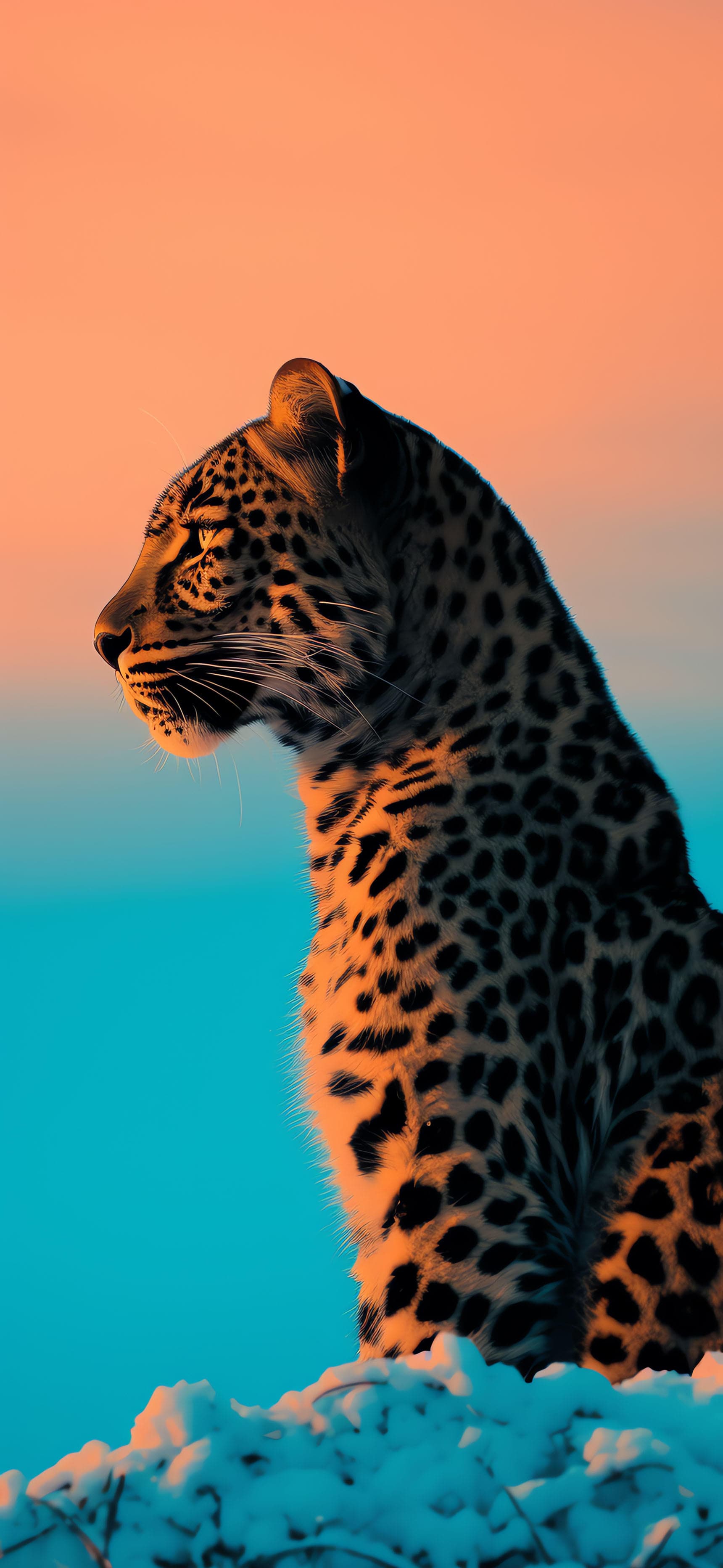 Leopard Sunset Stare - Pro phone wallpaper