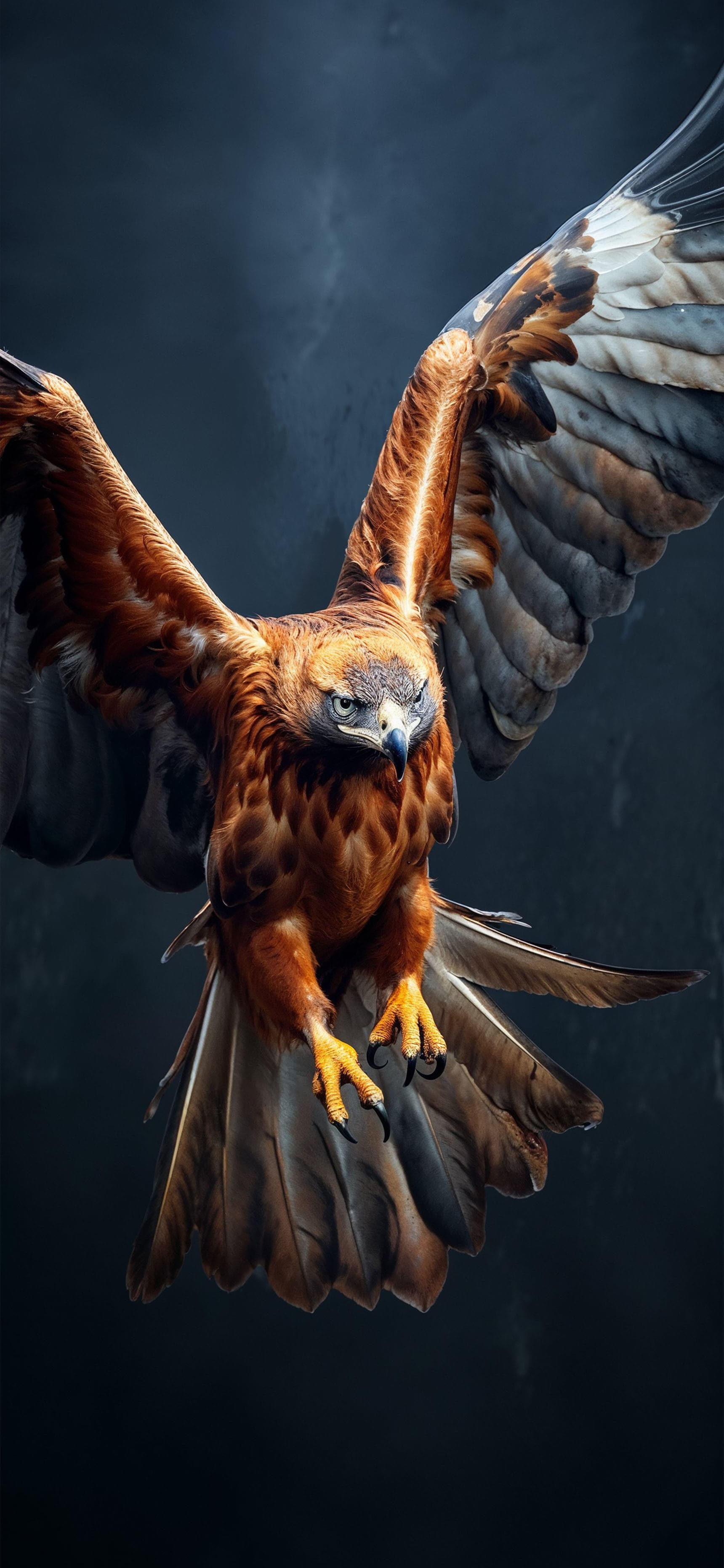 Soaring Brown Eagle - Pro phone wallpaper