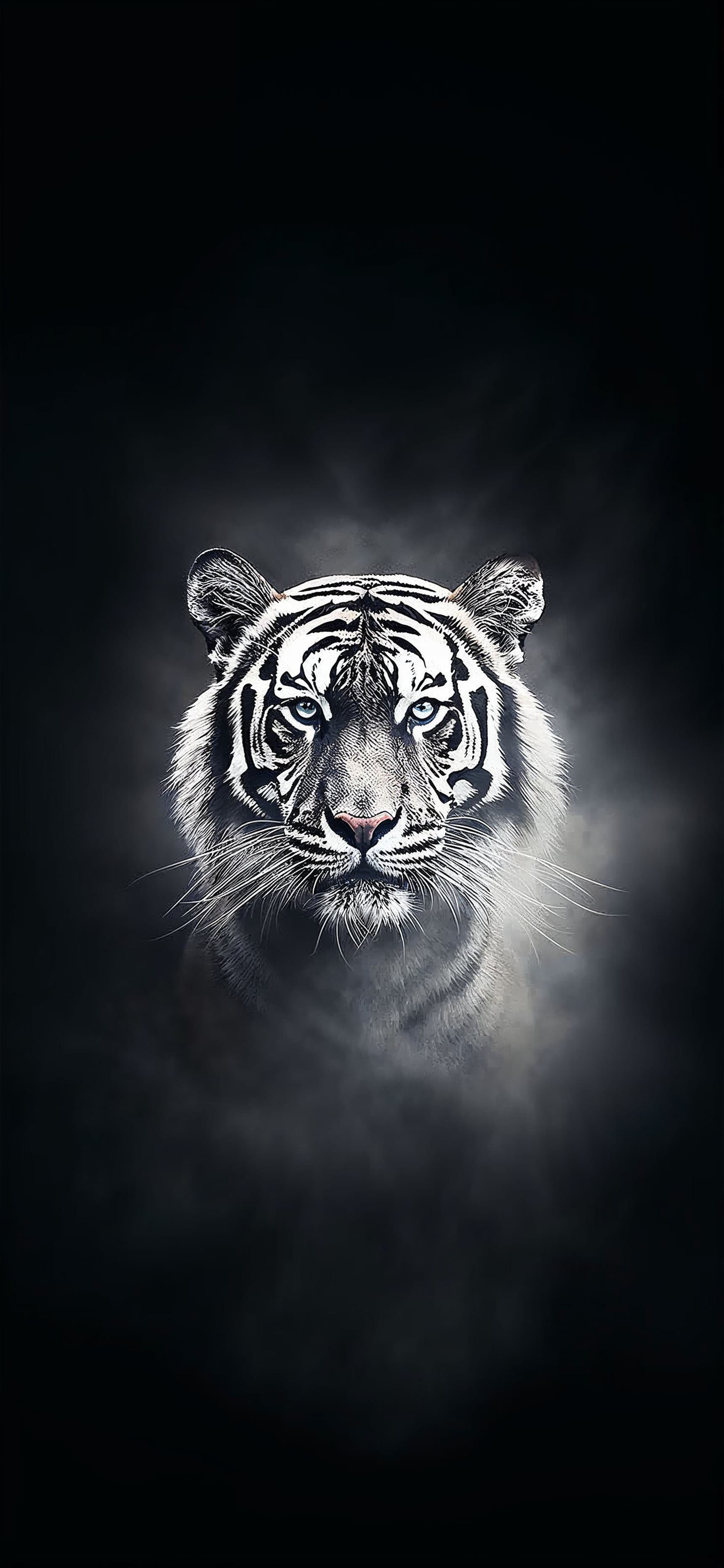 Monochrome Tiger Gaze - Pro phone wallpaper