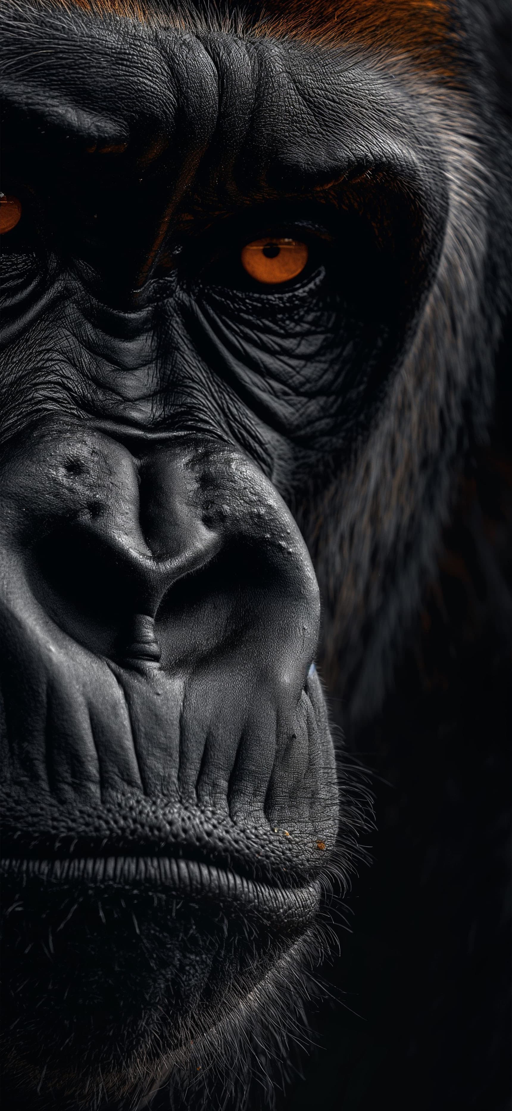 Gorilla Gaze - Pro phone wallpaper