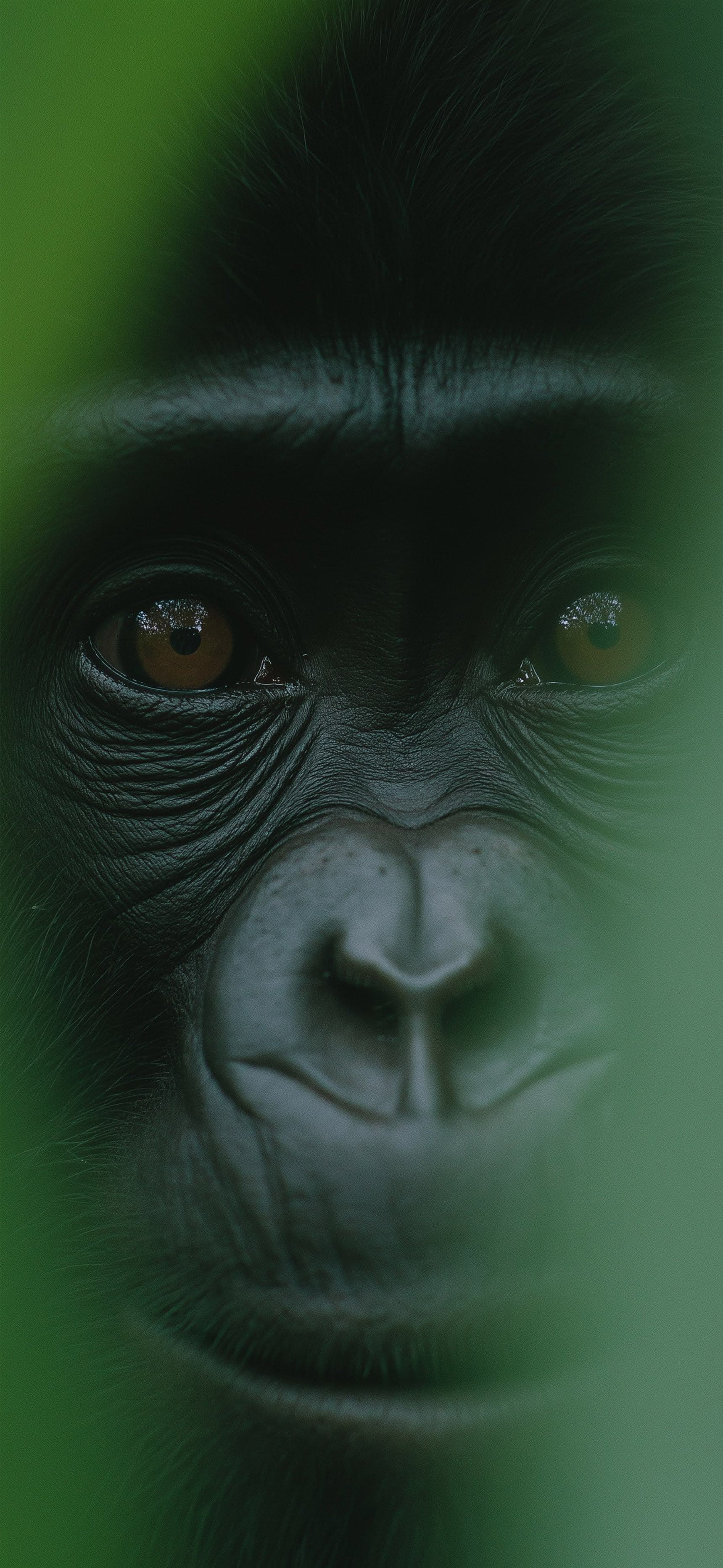 Emerald Gaze - Pro phone wallpaper