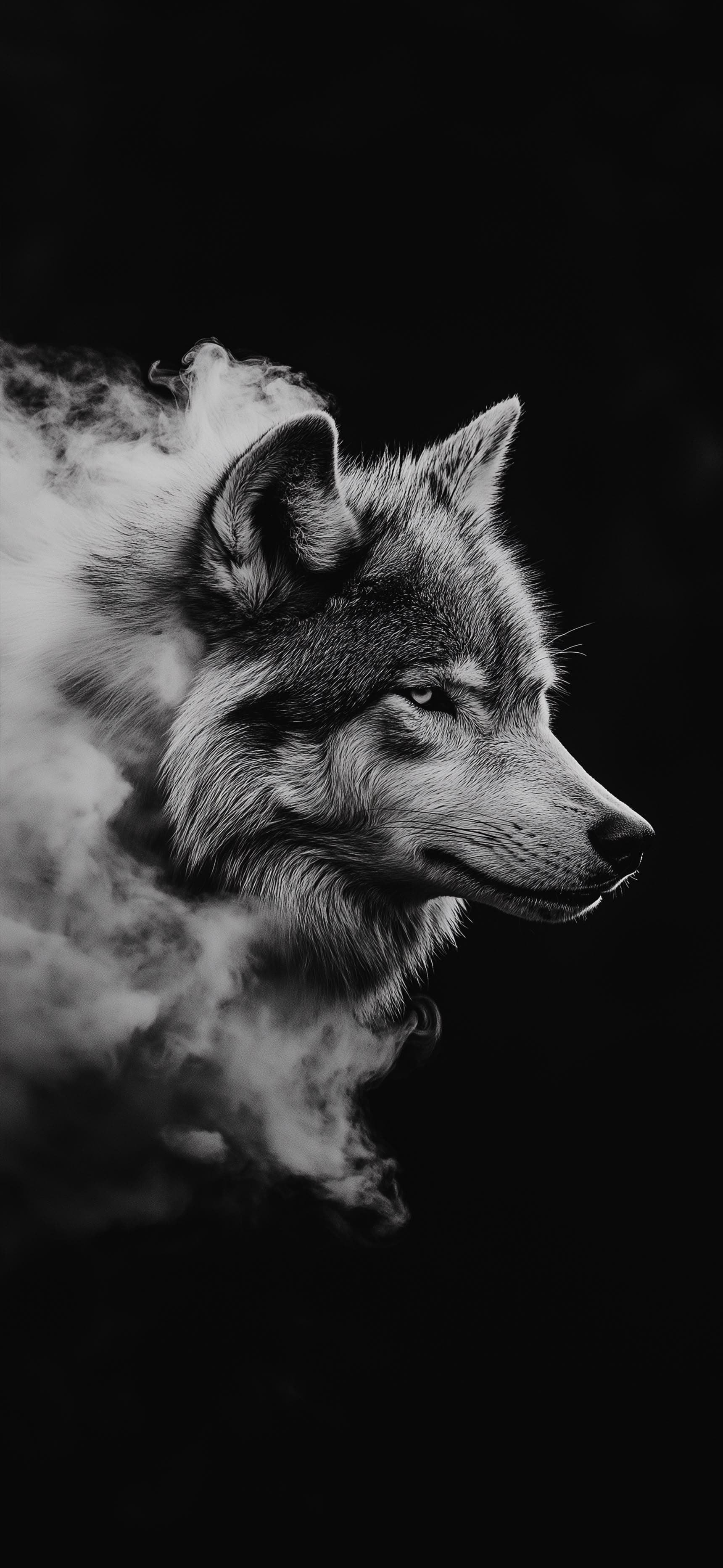 Shadow Wolf - Pro phone wallpaper