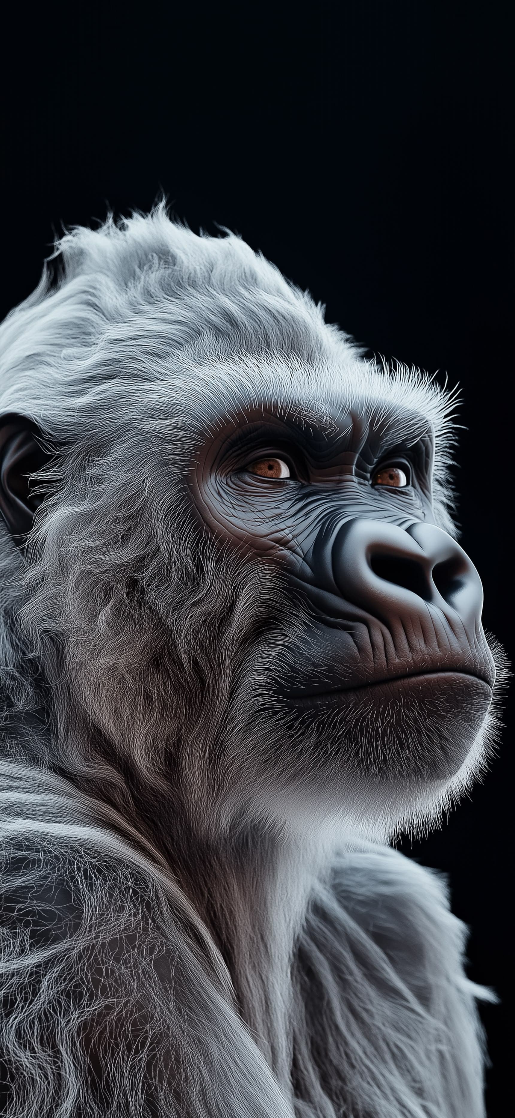Silverback Calm - Pro phone wallpaper