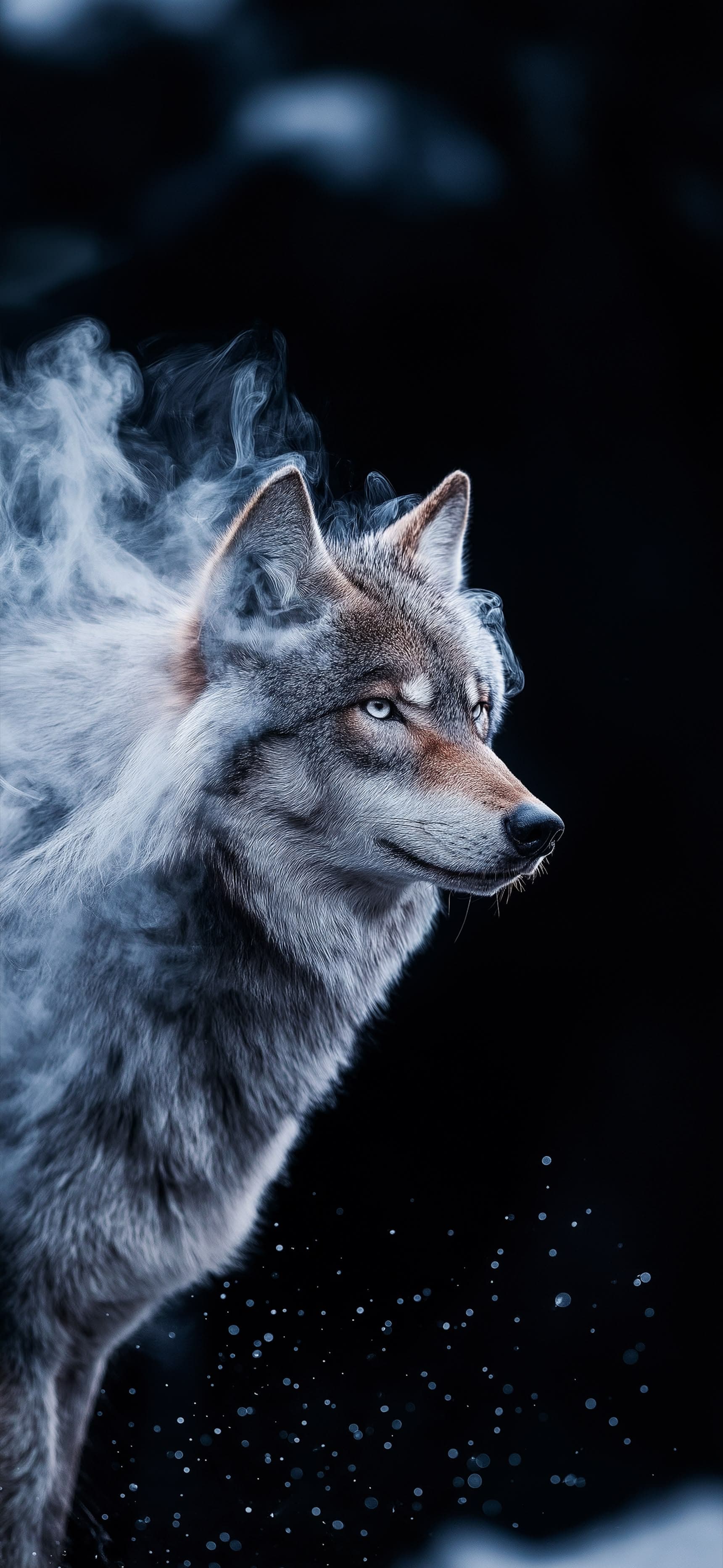 Frosted Wolf - Pro phone wallpaper