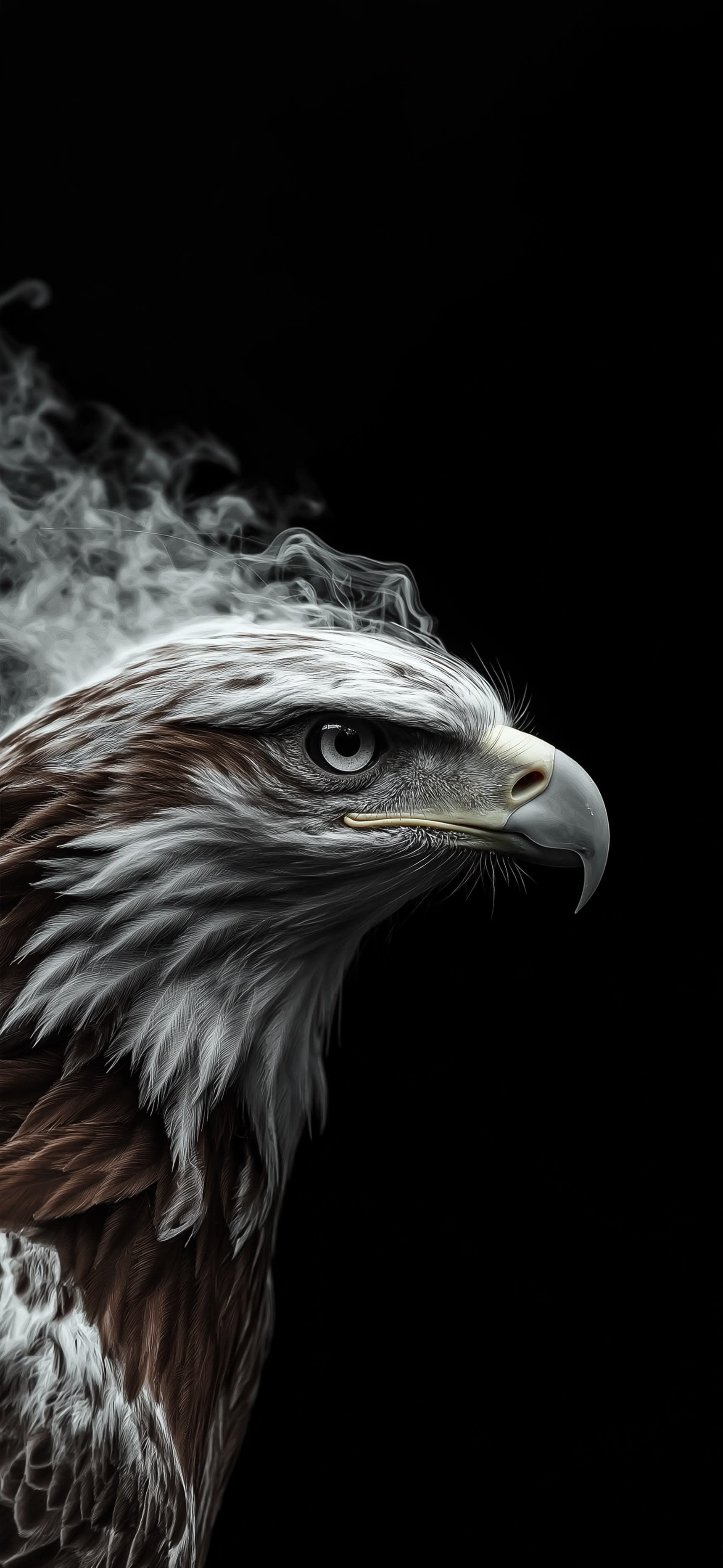 Smoky Hawk - Pro phone wallpaper