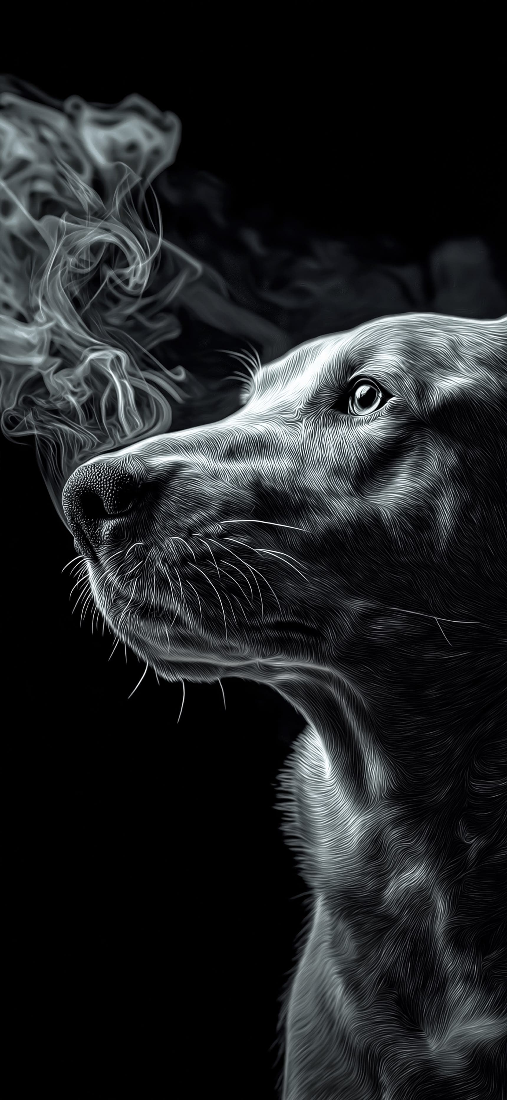 Silent Hound - Pro phone wallpaper