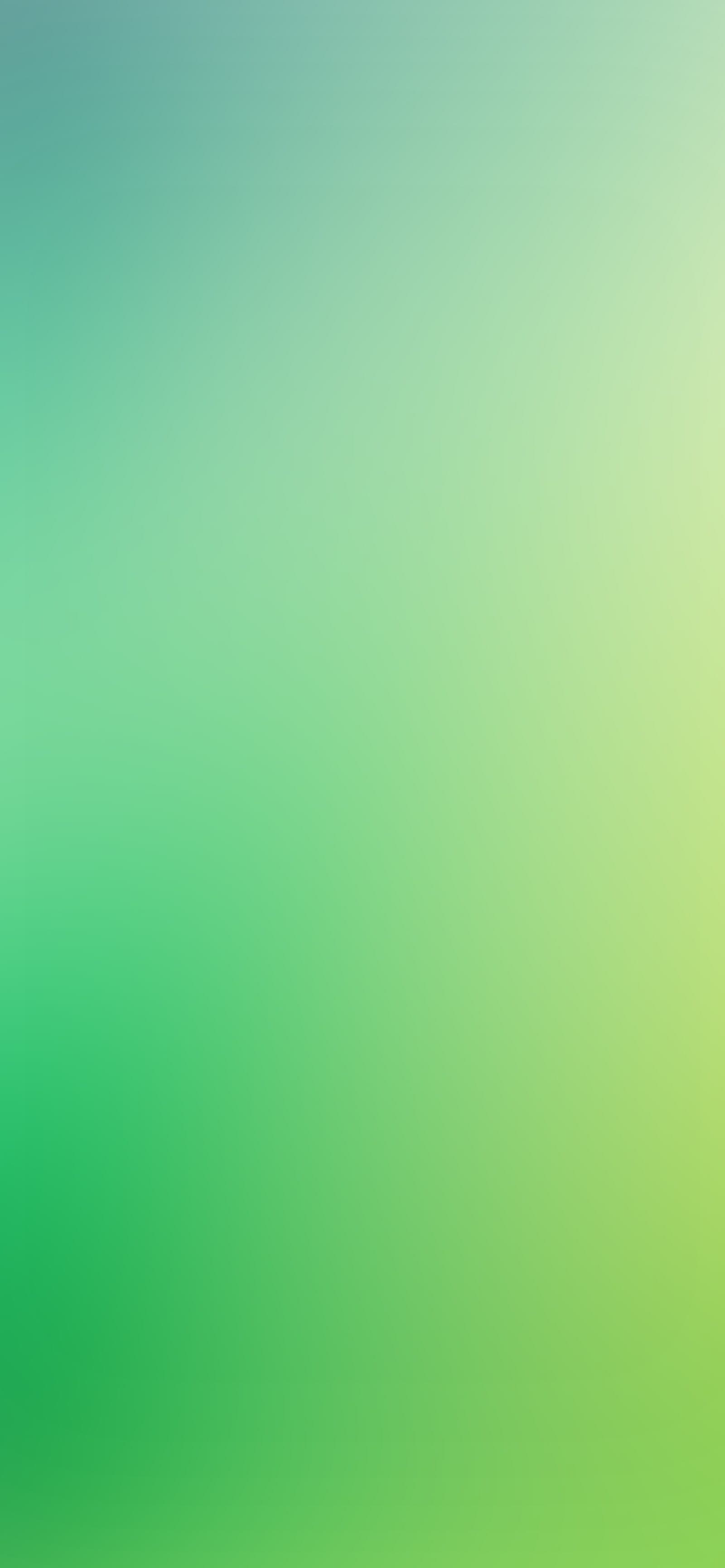 Green Serenity Gradient - Pro phone wallpaper