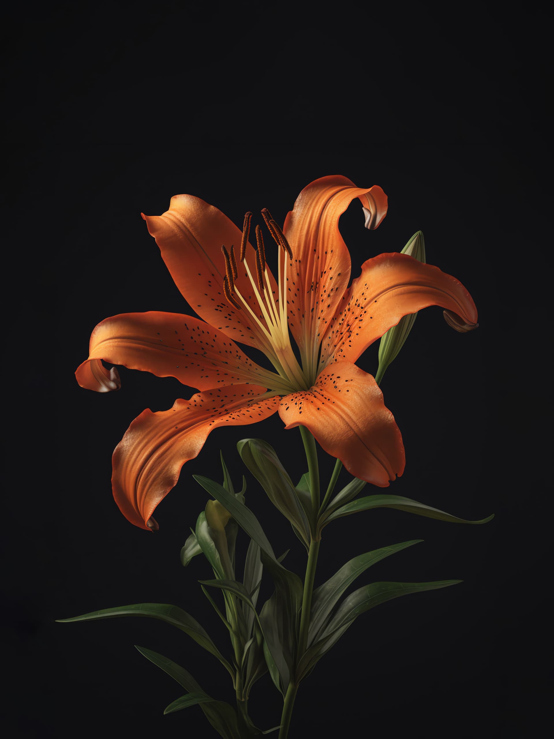 Orange Lily Bloom - Pro phone wallpaper