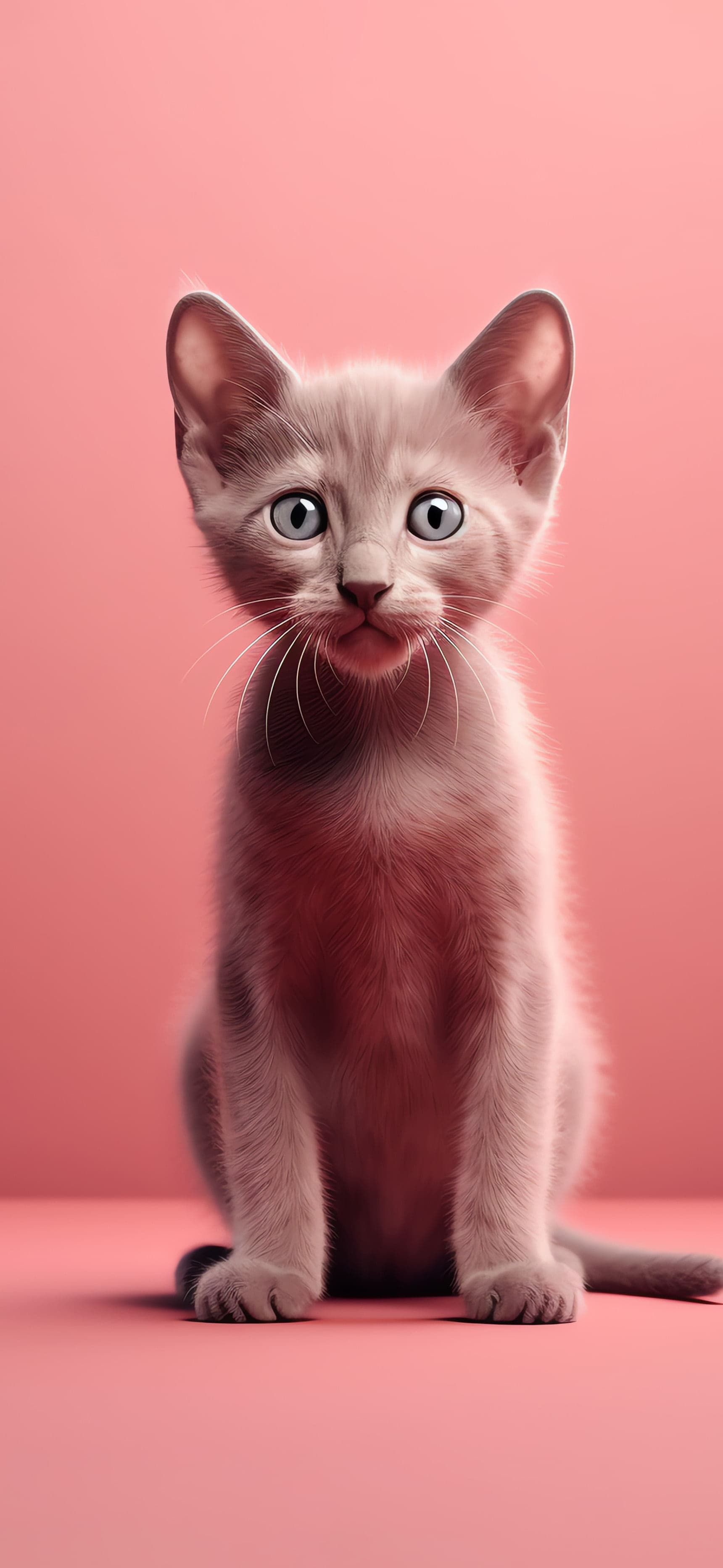 Pink Kitten Portrait - Pro phone wallpaper