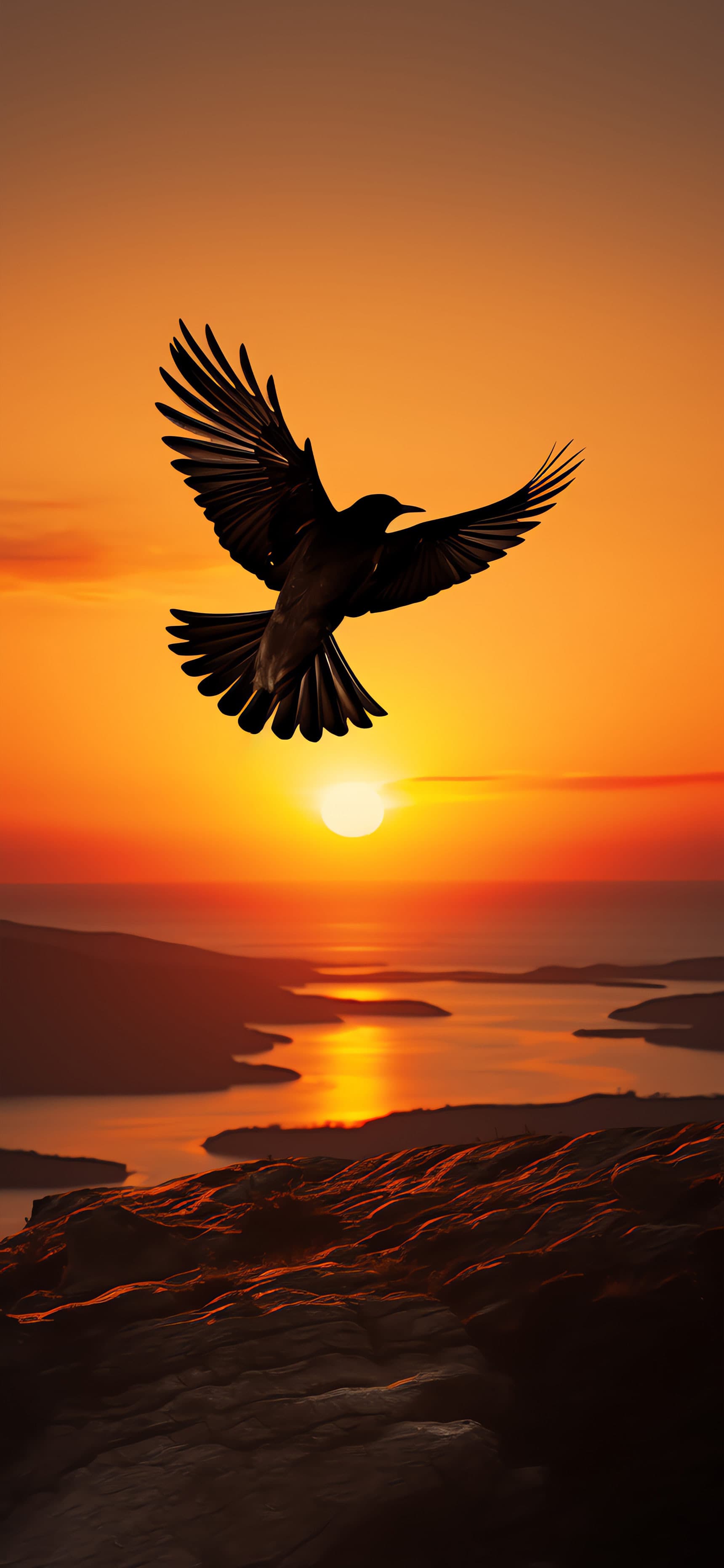 Sunset Bird Silhouette - Pro phone wallpaper