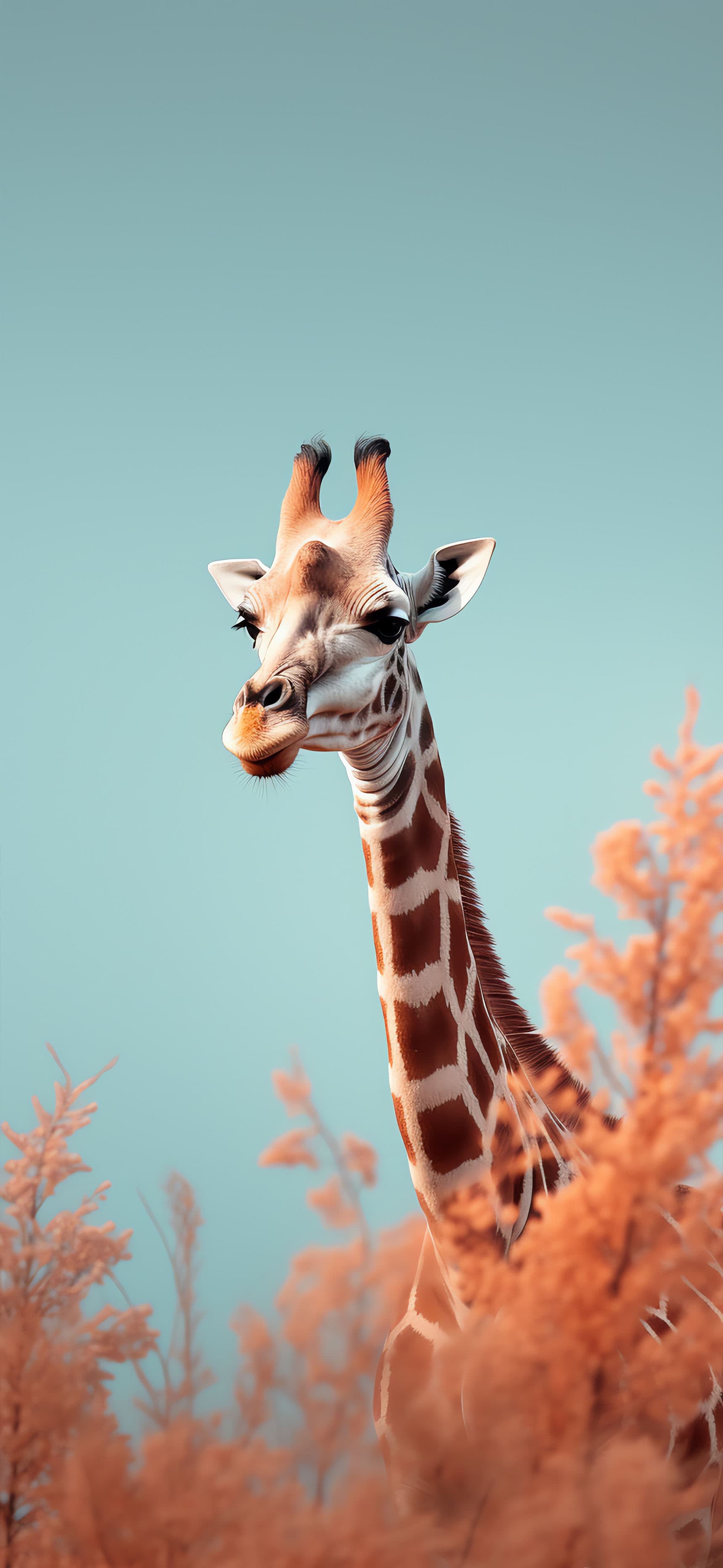 Giraffe Pastel Portrait - Pro phone wallpaper
