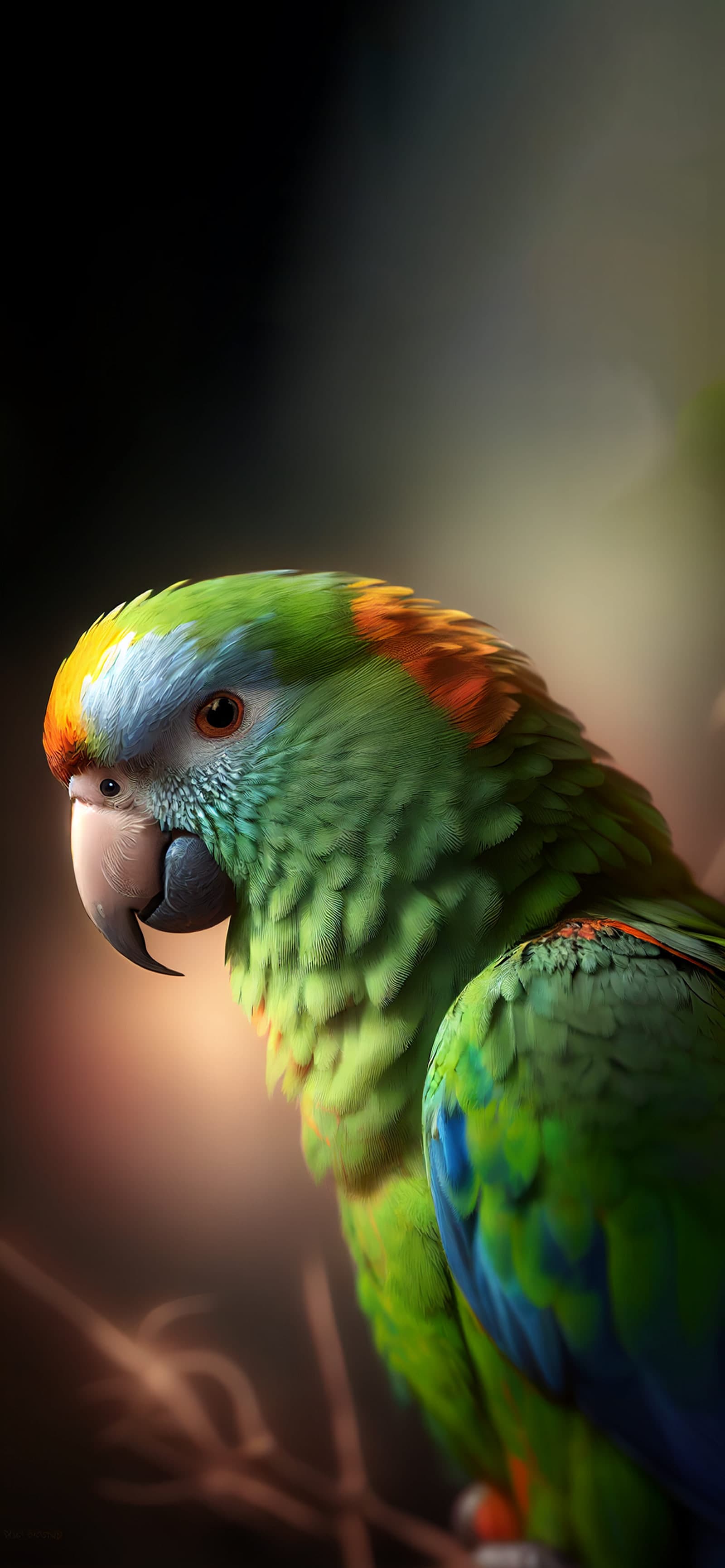 Parrot Portrait - free phone wallpaper