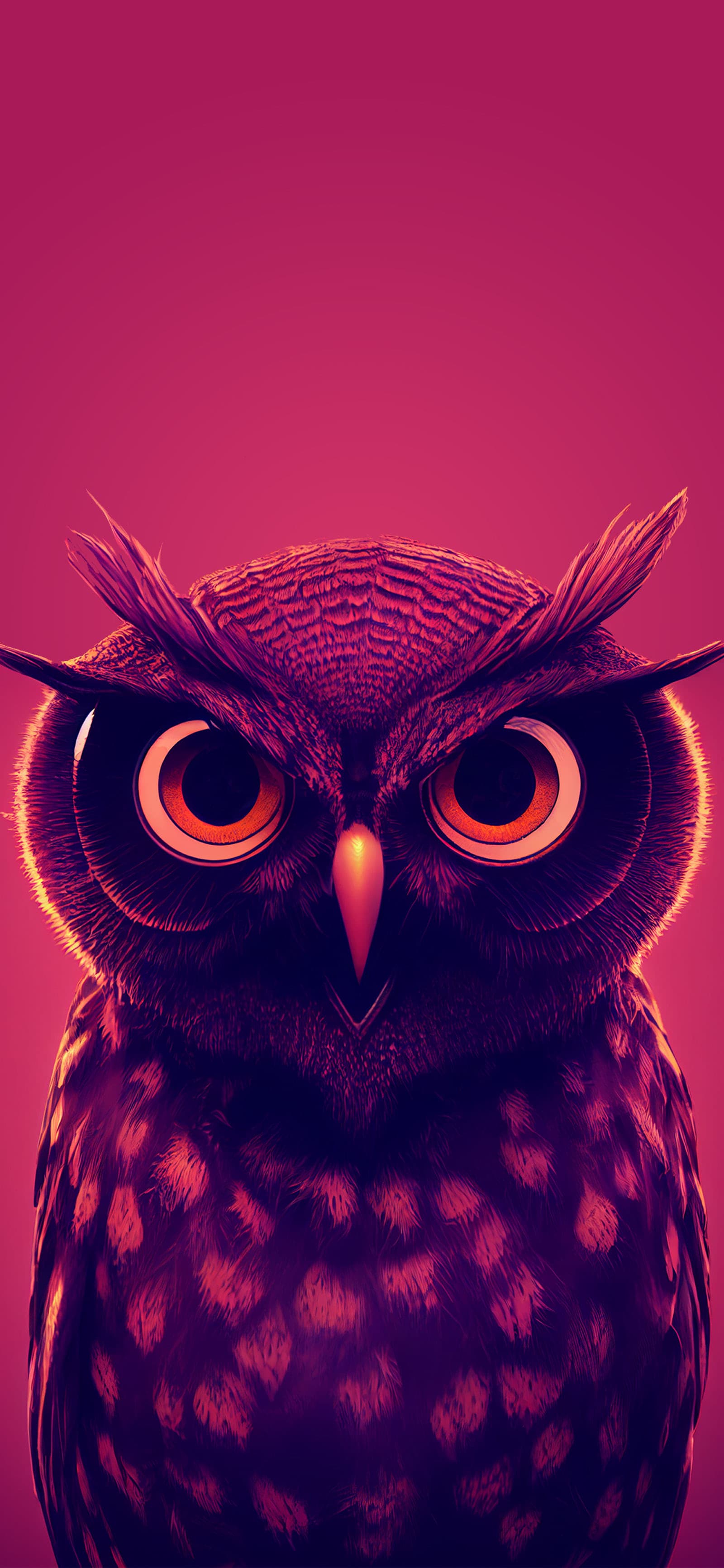 Intense Owl Gaze - free phone wallpaper