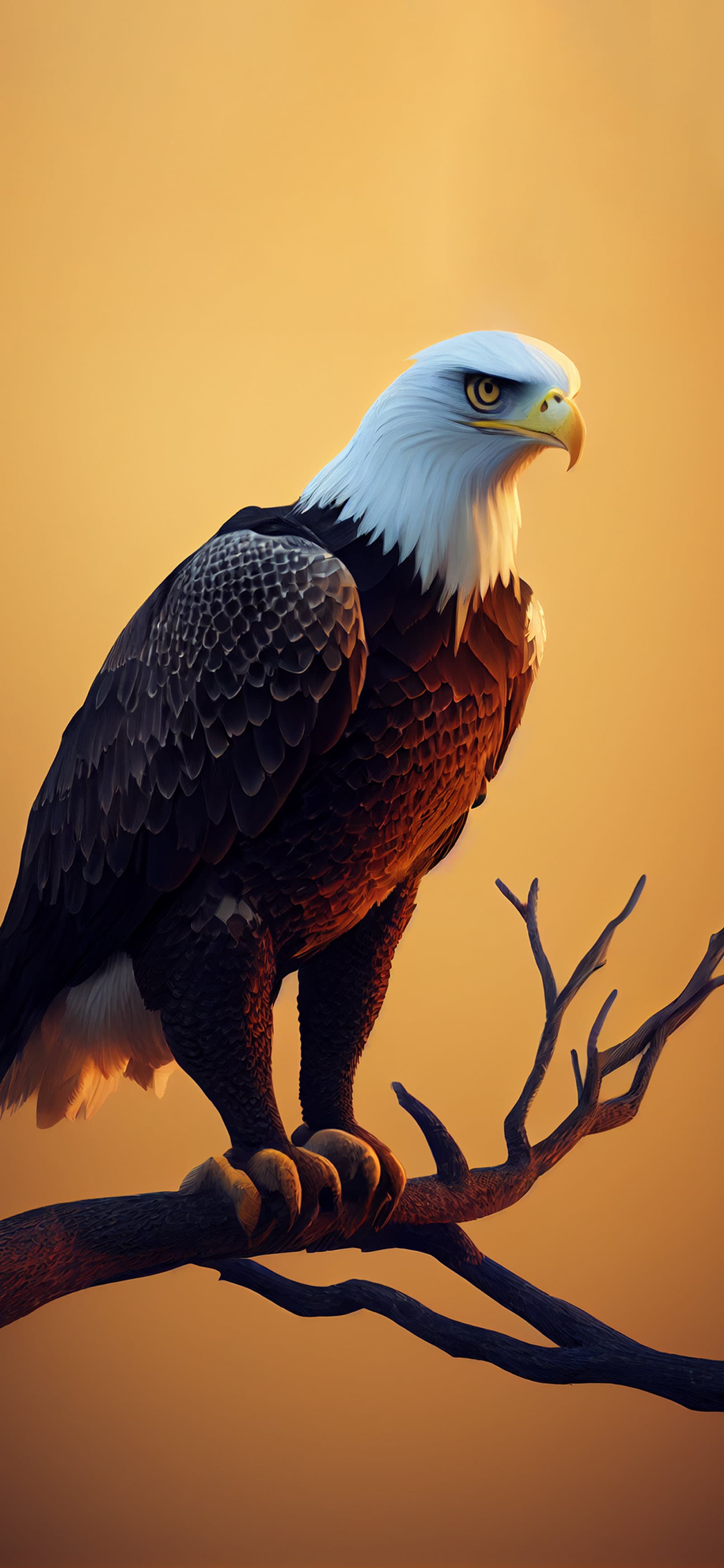 Majestic Eagle Perch - free phone wallpaper