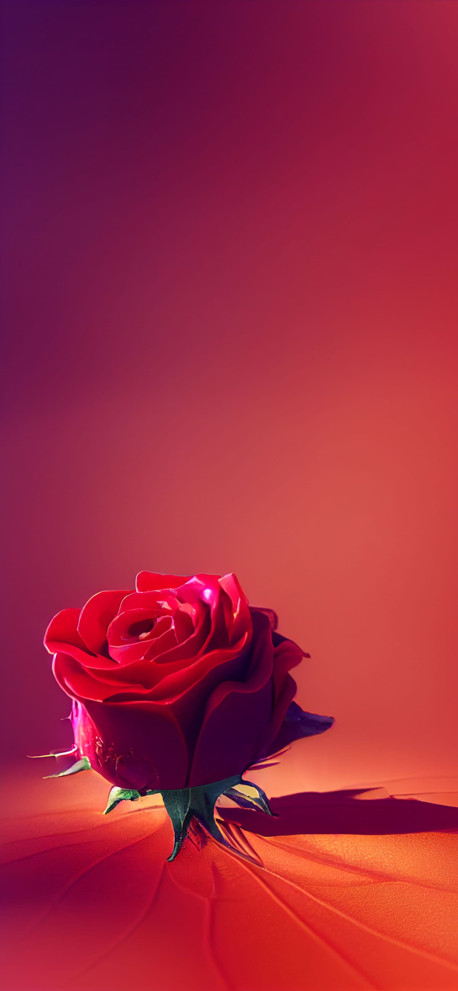 Crimson Rose Bloom - free phone wallpaper