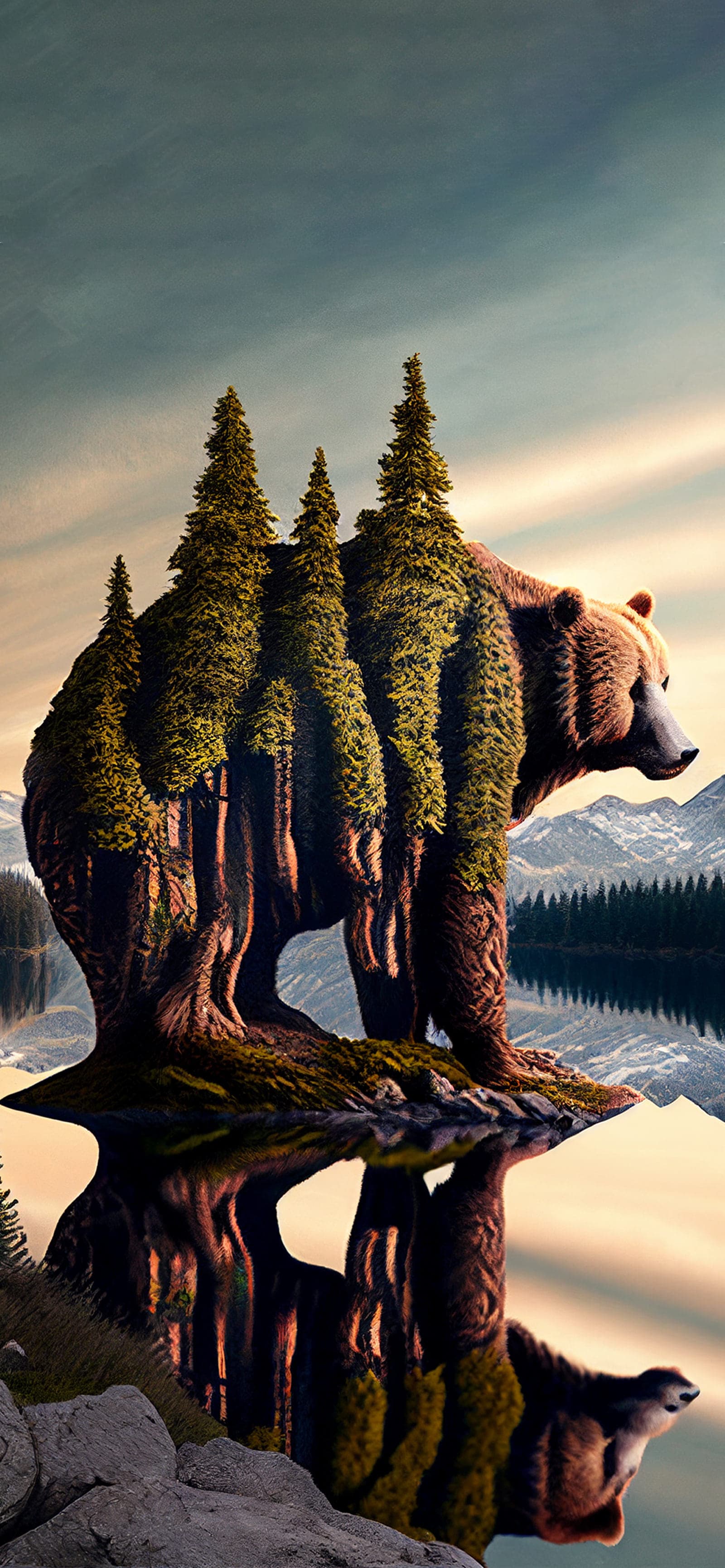 Bear Island Reflection - free phone wallpaper