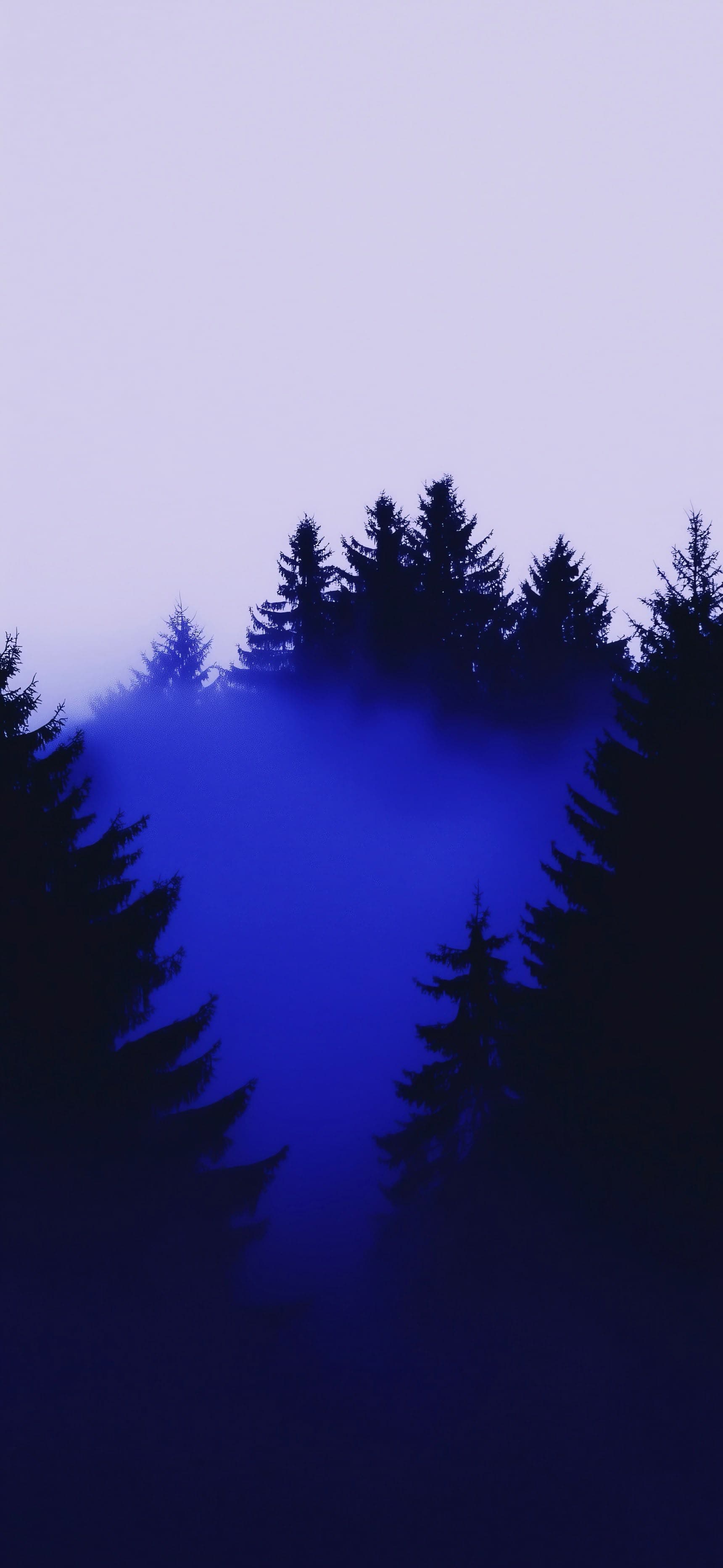 Ethereal Forest Mist - free phone wallpaper