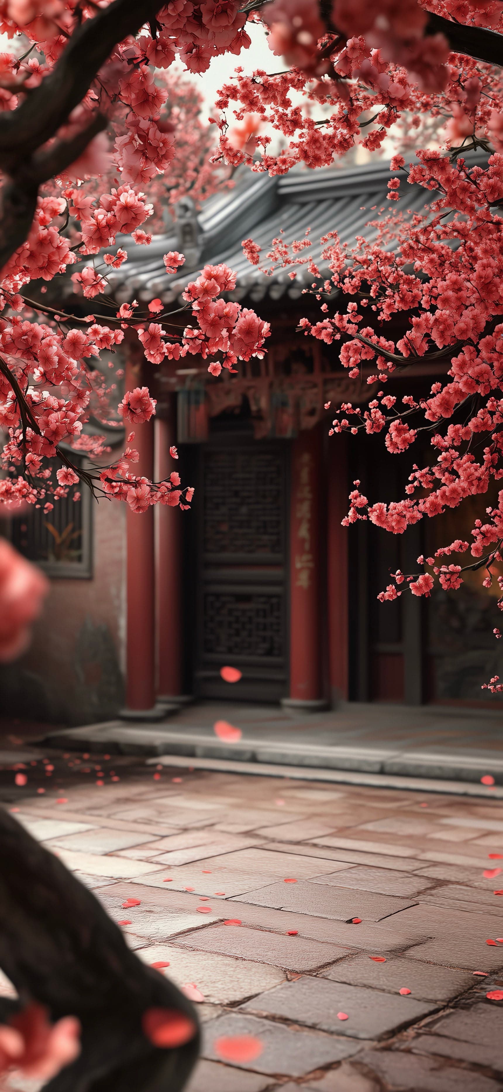 Tree Blossom 3 - free phone wallpaper