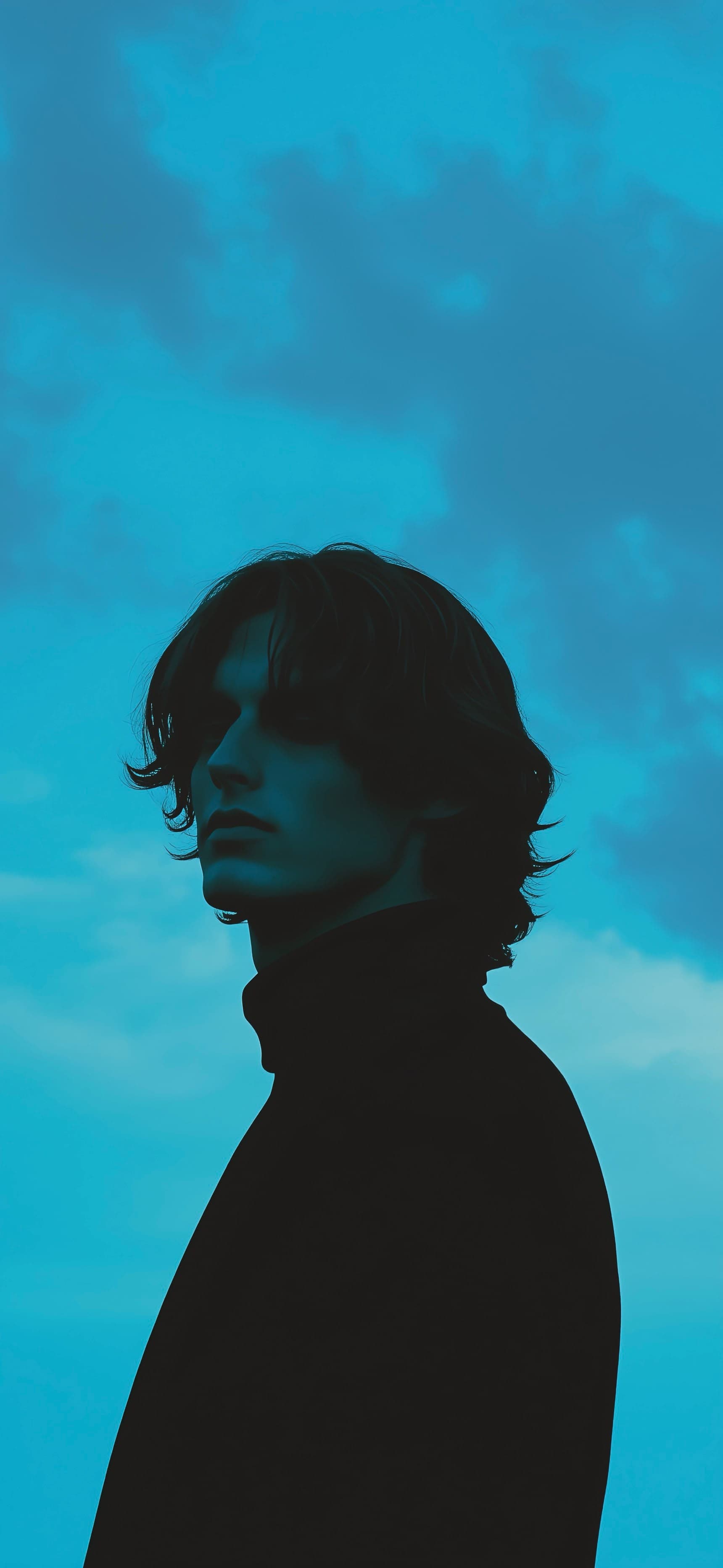 Cool silhouette 3 - free phone wallpaper