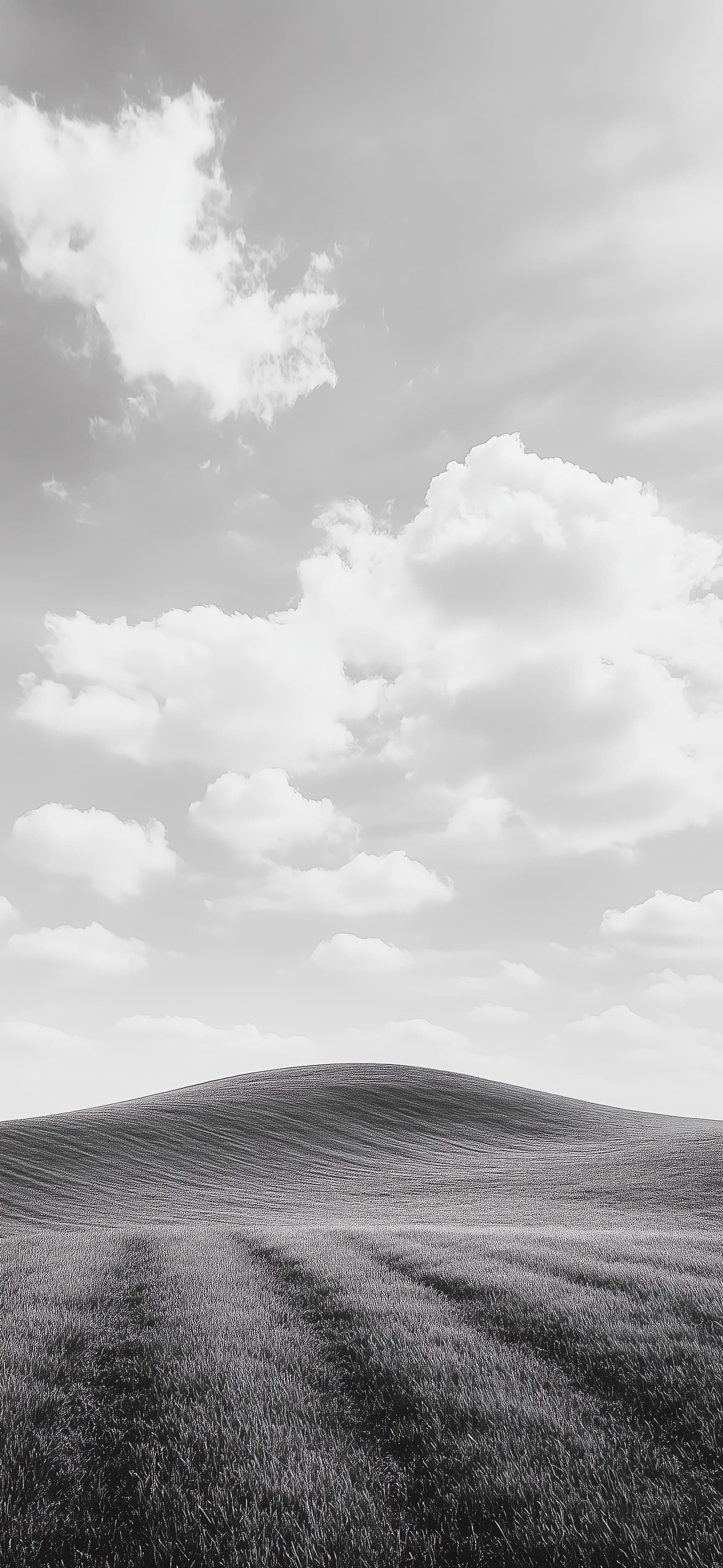 Grayscale Field Vista - free phone wallpaper