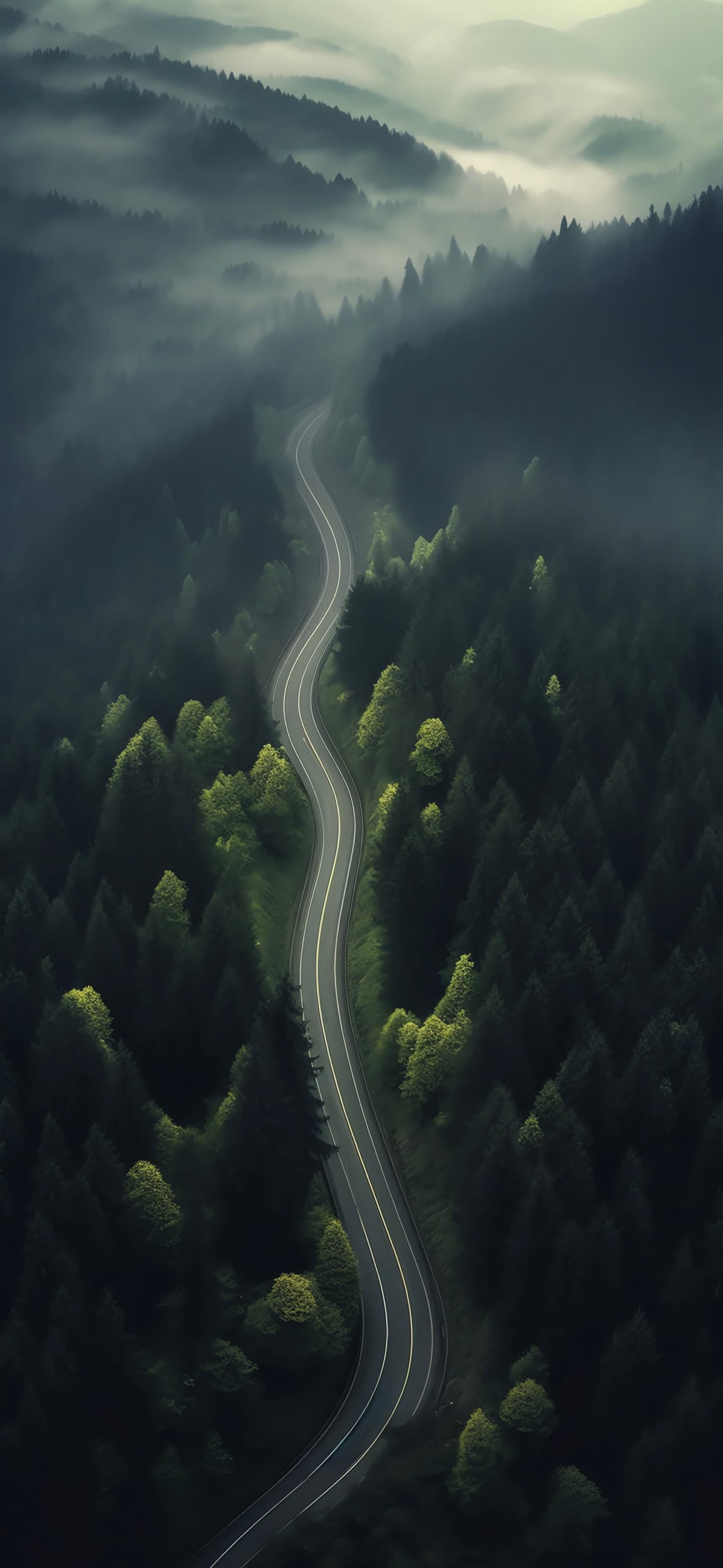 Misty Forest Road - free phone wallpaper