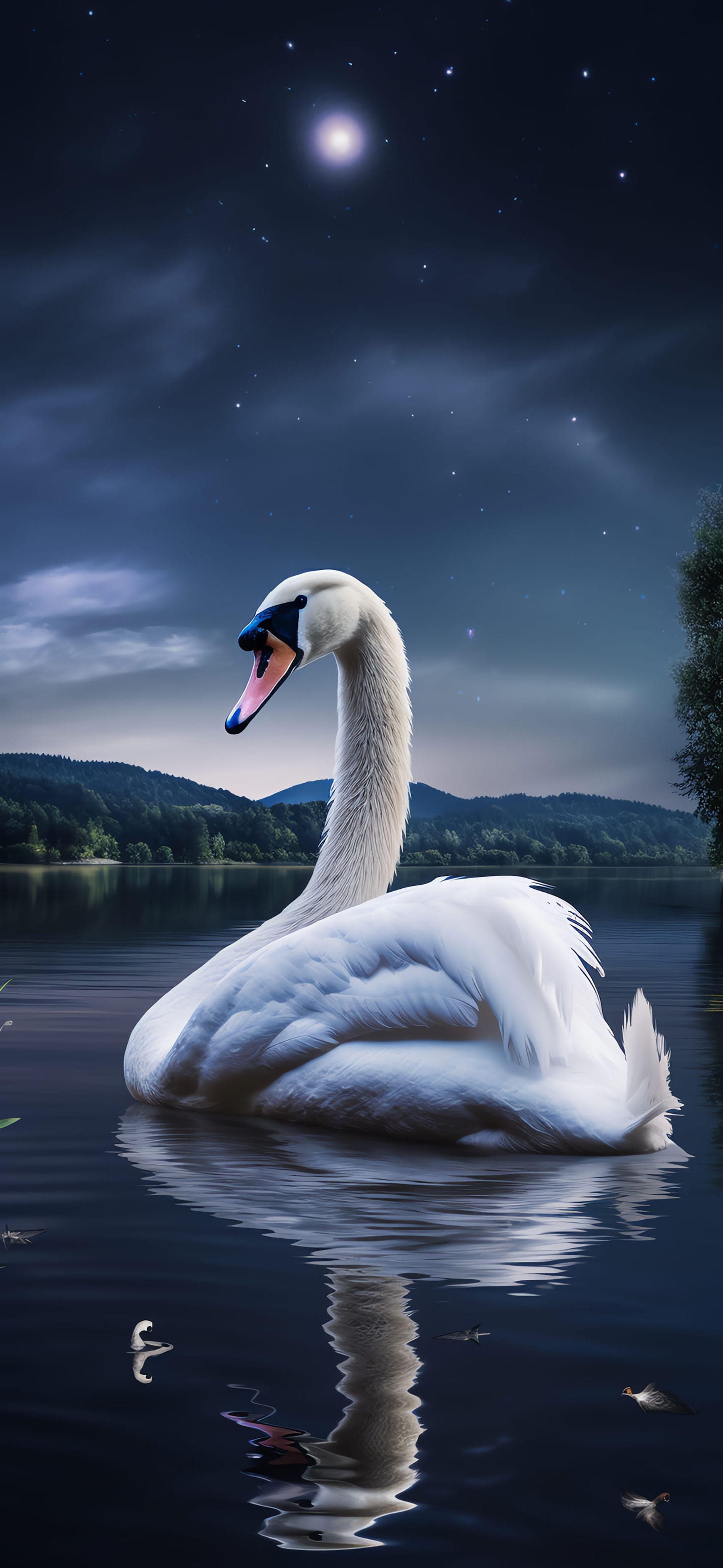 Swan Lake Serenity - free phone wallpaper